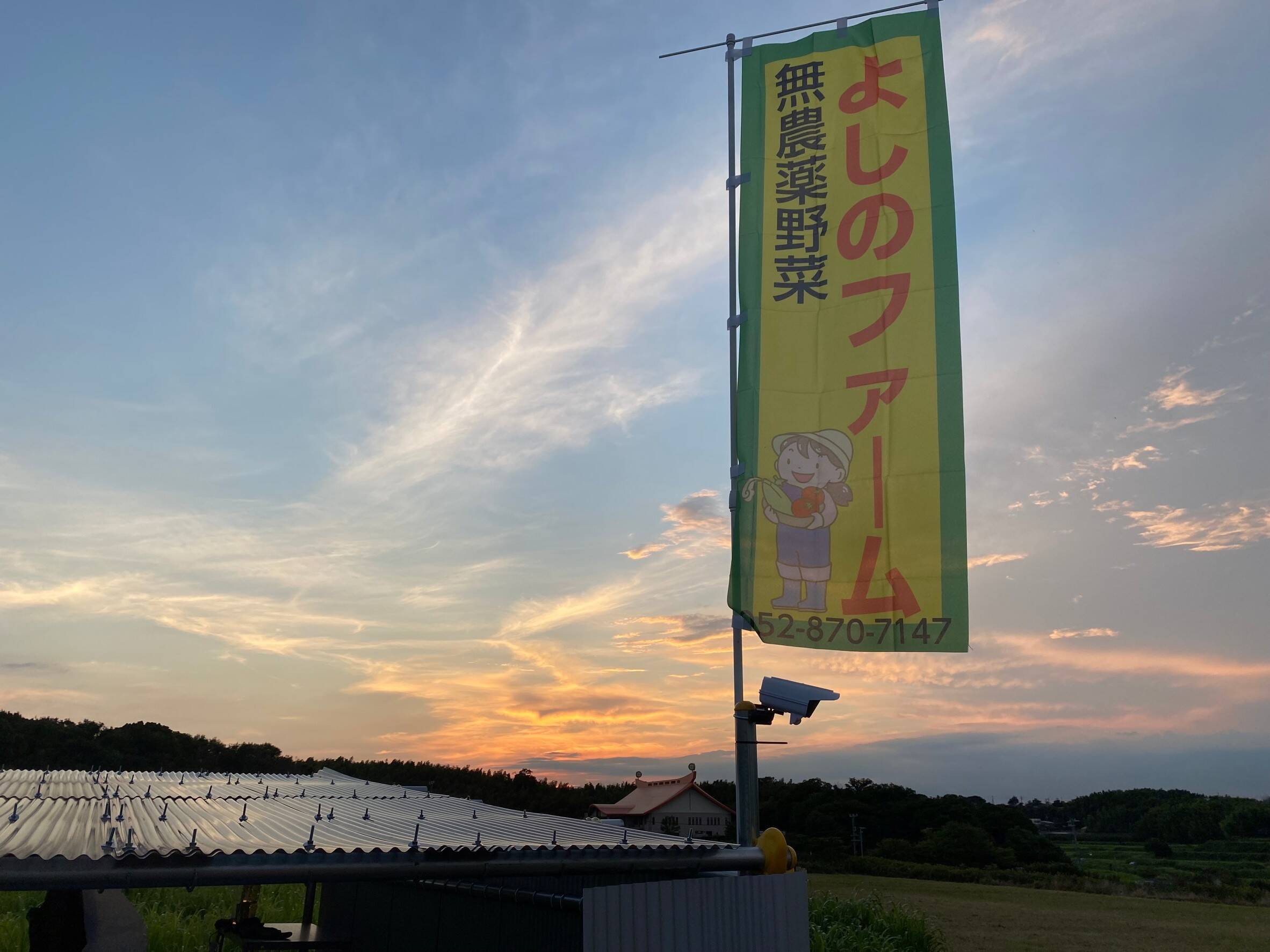 よしのファームへのレビュー・商品：愛知県｜食べチョク｜産地直送