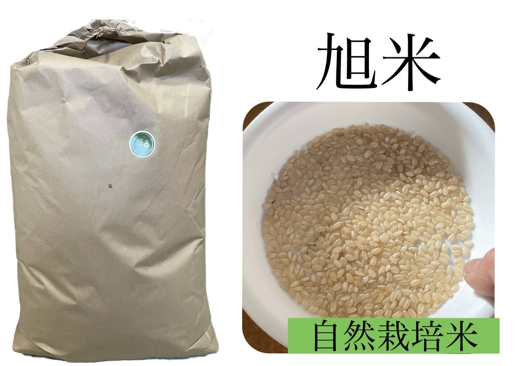 自然栽培 幻の朝日米 20kg（真空パック2.5kg小分け）令和元年岡山県産玄米