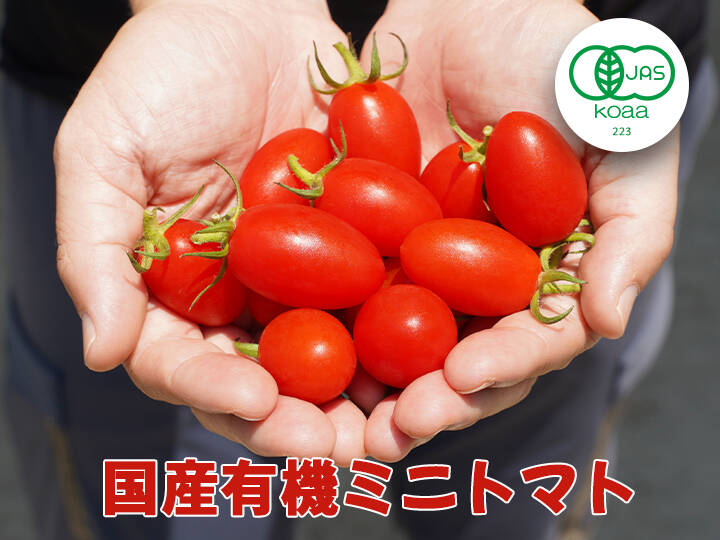 ミコちゃん アイコ9kg ミニトマト 農家直送 ミニトマト農家｜フリマアプリ ラクマ