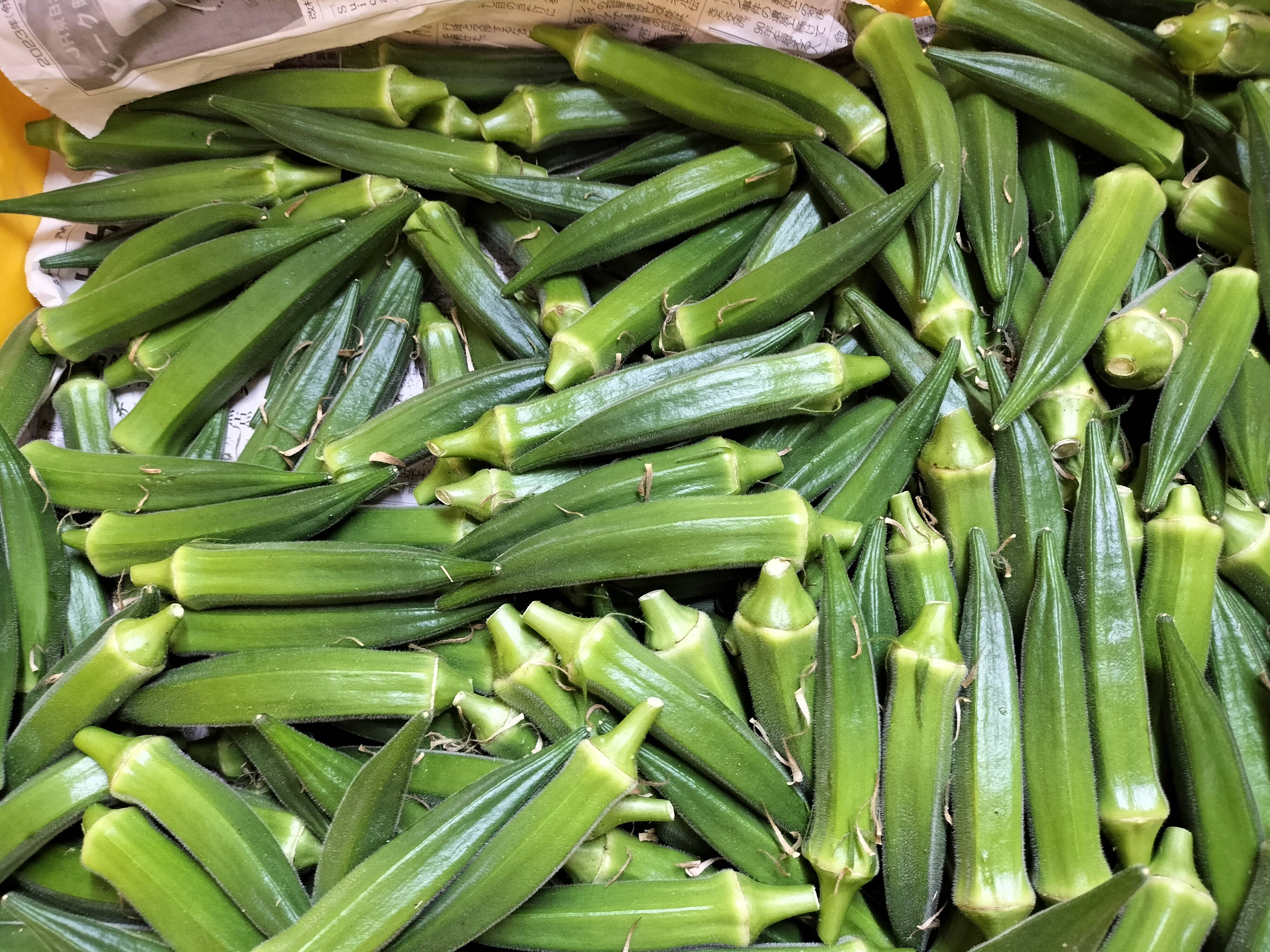 オクラ60本 発送タイミングおまかせ：茨城県産のオクラ｜食べチョク