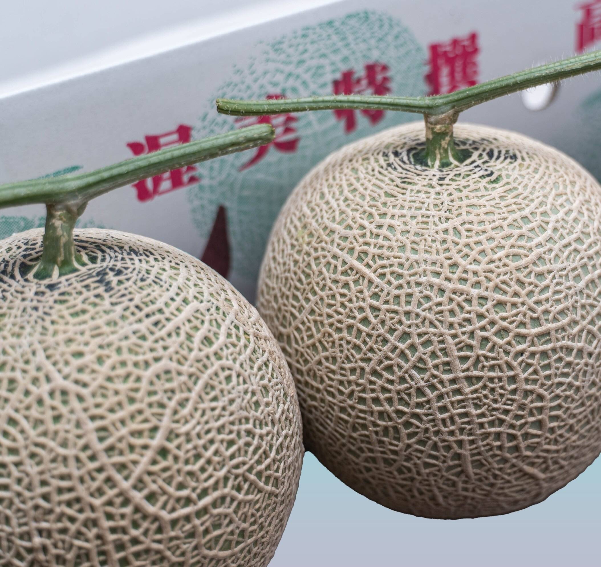 潮風育ち！高級マスクメロン2玉！！：愛知県産のアールスメロン｜食べ
