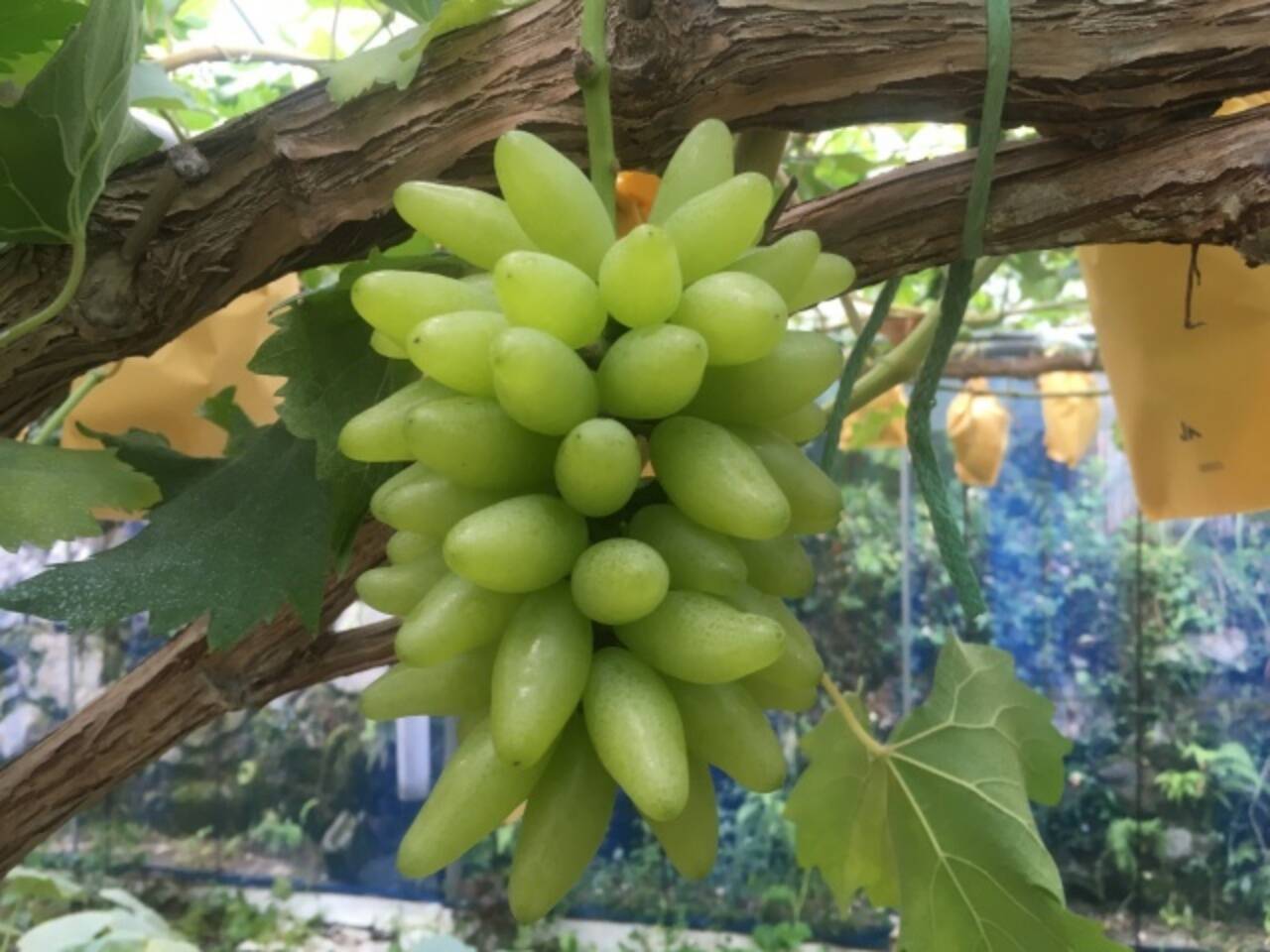 a31842dc89677088dc6f6fdf234b4e