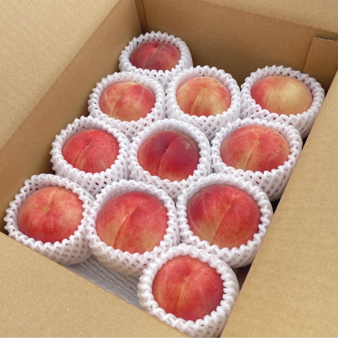 Sakurann様 秀品大玉２箱 家庭用桃１箱 専用ページ Sakurann様 秀品大玉2箱 家庭用桃1箱 専用ページ 出荷中】山形県産