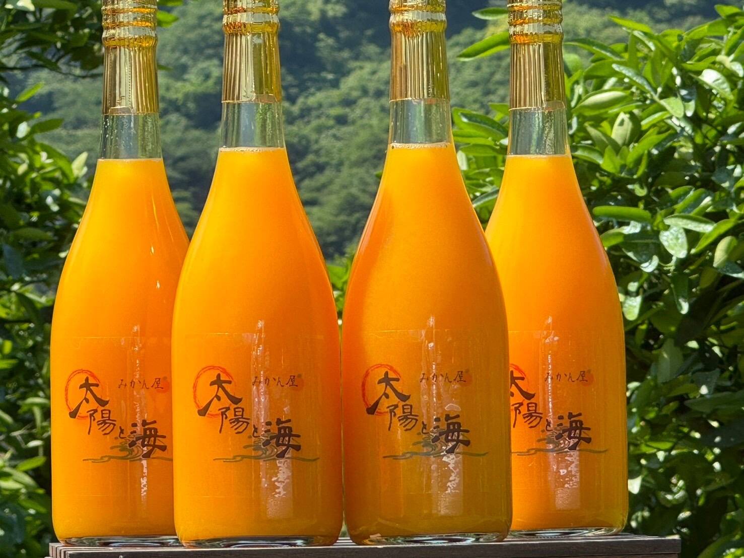 a35db748be8fc8bfbae8ac41dc60bb