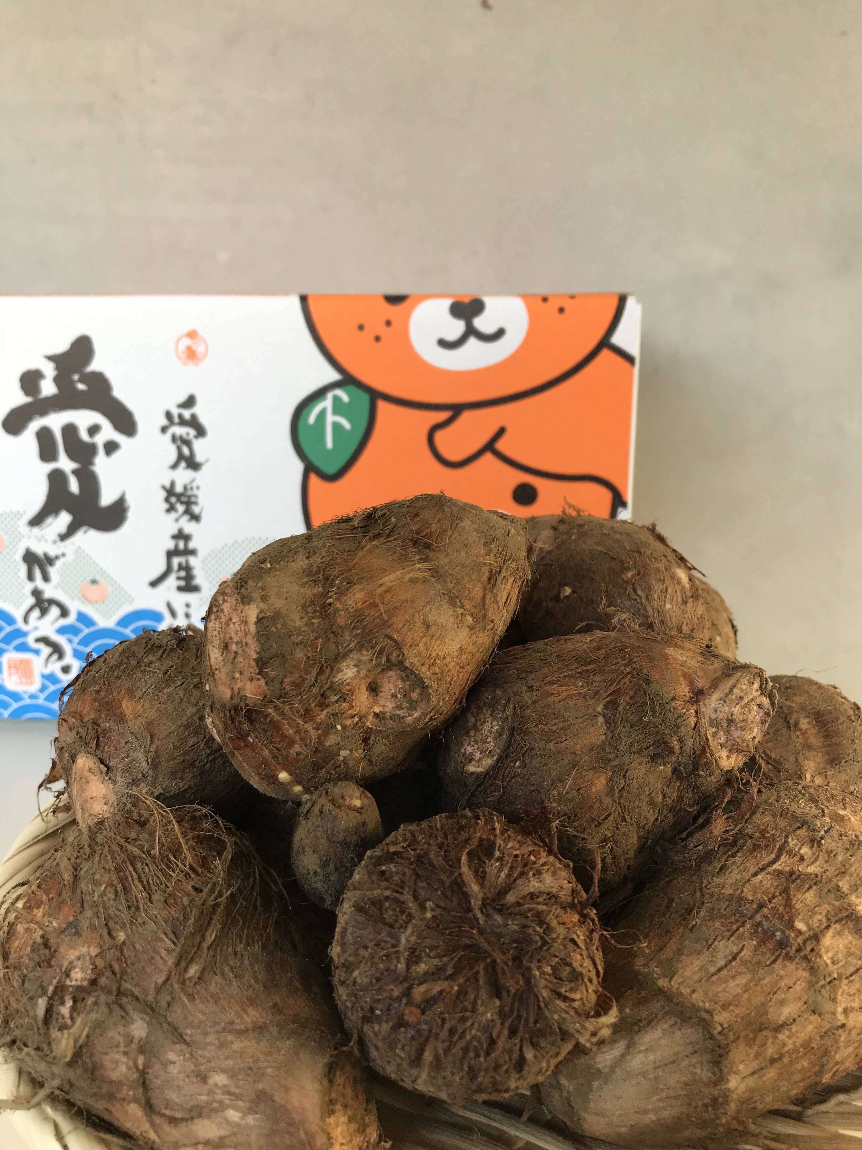 秋の味覚里芋【伊予乃小町】色々な料理に相性バッチリ！(10kg)：愛媛県