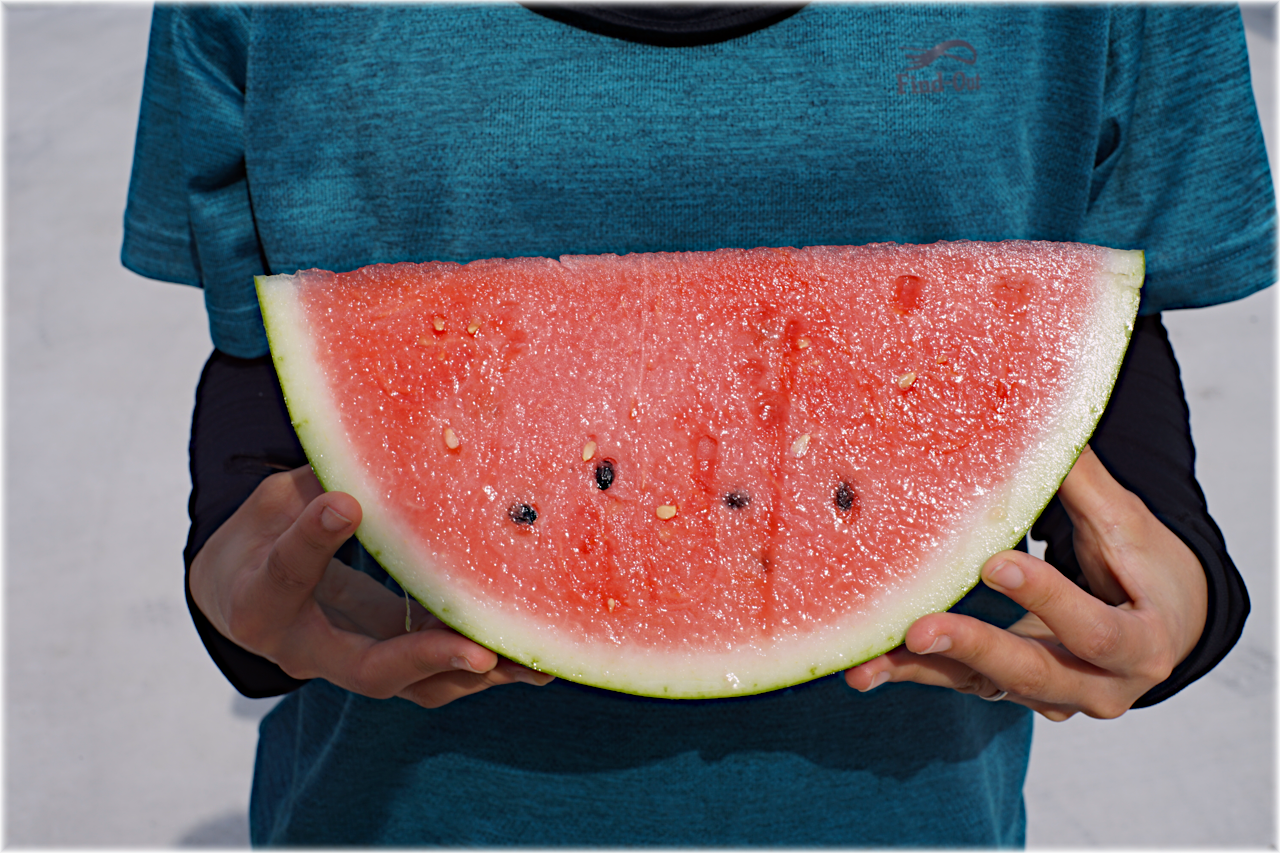 a39159446ccf69c278f3d8070d3c41