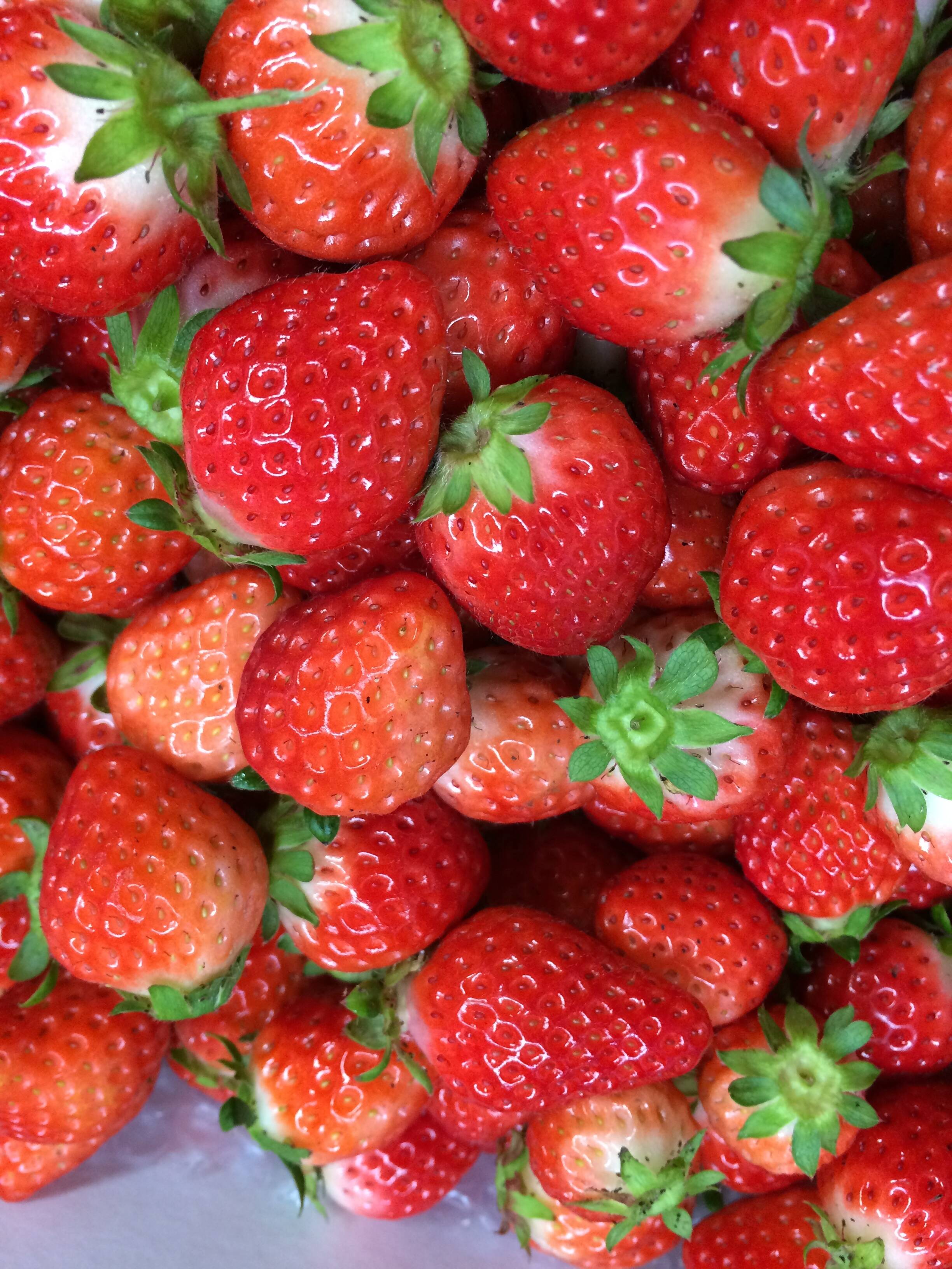 セット 今日のおやつチビイチゴ1kg ジャム用チビイチゴ1 5kg 佐賀県産のいちご 食べチョク 産地直送 産直 お取り寄せ通販 農家 漁師から旬の食材を直送