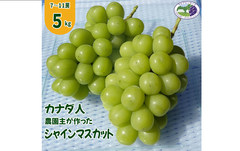 【カナダ人農園主の真心を込めた】シャインマスカット約５ｋｇ以上（ご家庭用）：広島県産のシャインマスカット｜食べチョク｜産地直送(産直)お取り寄せ通販  - 農家・漁師から旬の食材を直送