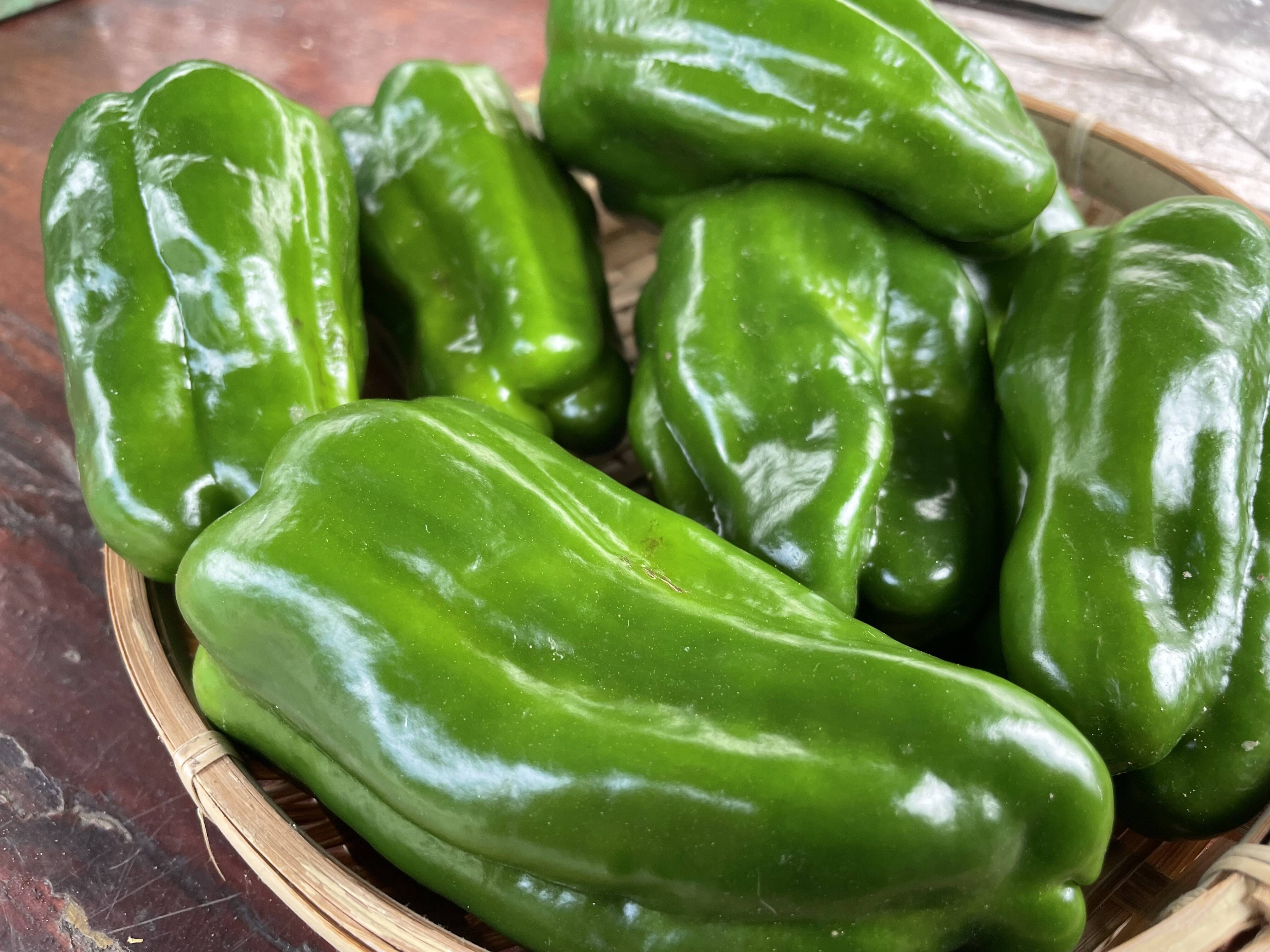 昔ながらのピーマン1.5キロ:広島県産の品種おまかせ|食べ 昔ながらのピーマン1.5キロ:広島県産の品種おまかせ|食べ
