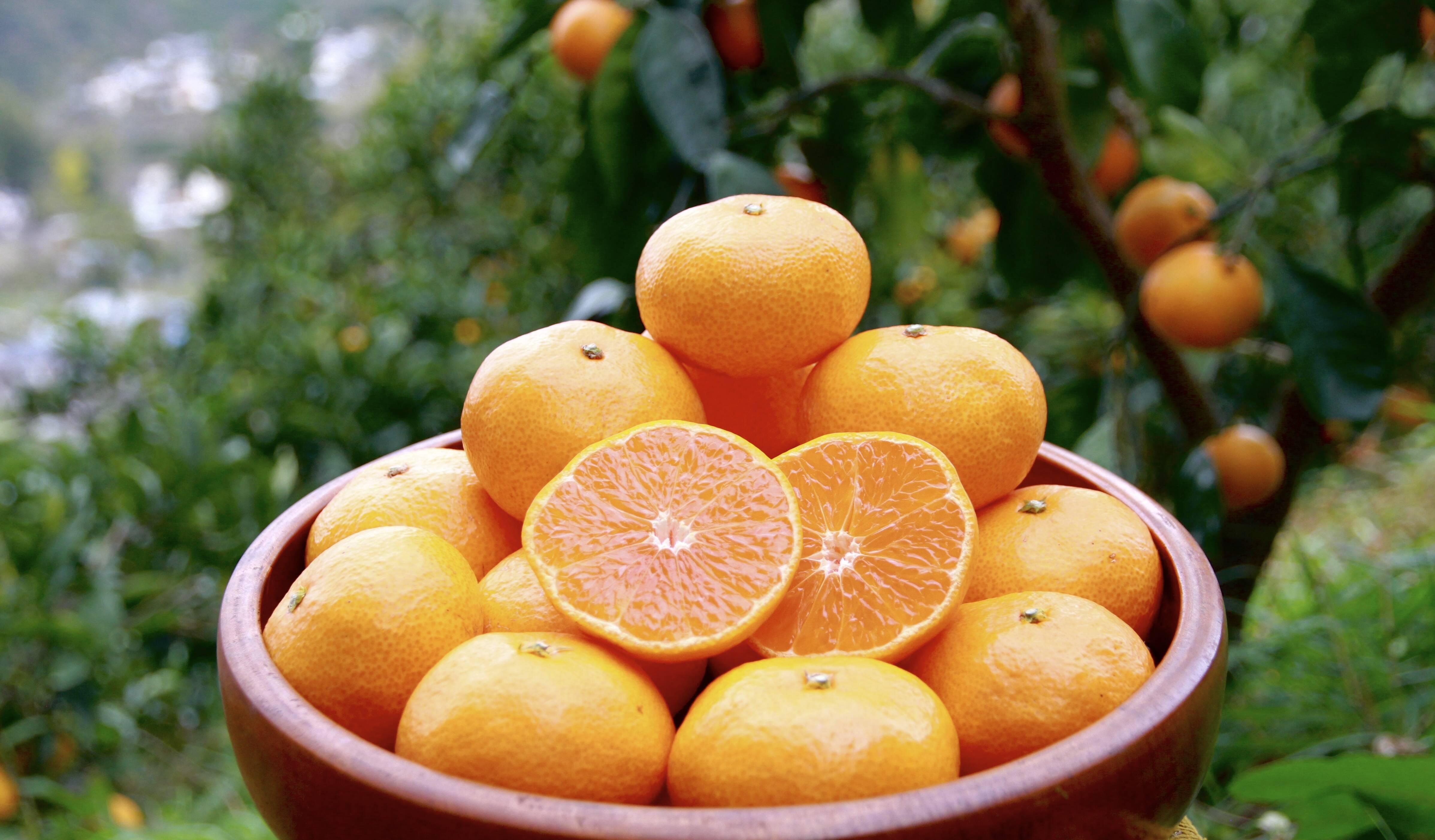 a3c03eb93ff772b4a5935ba1664ce6