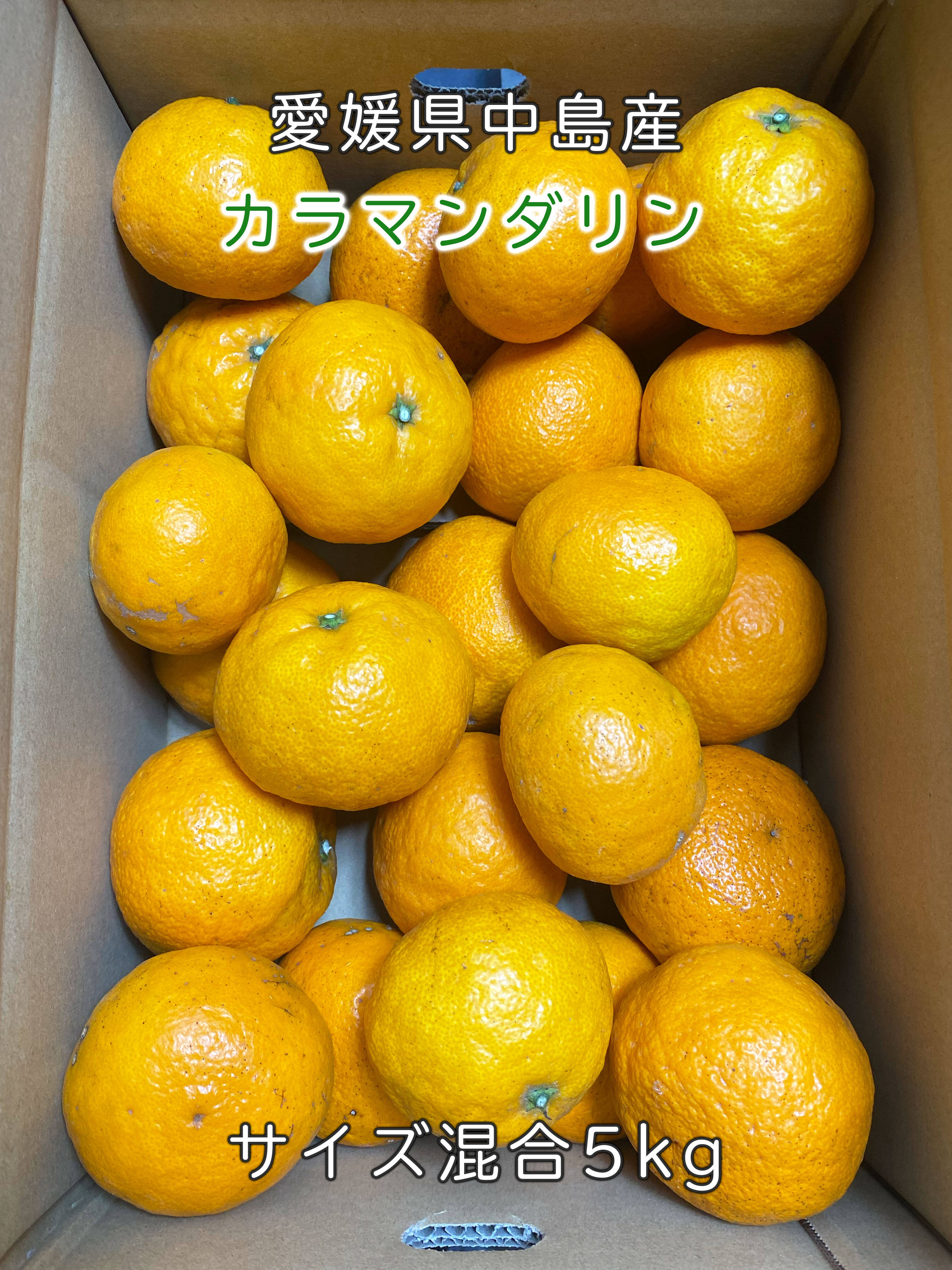 愛媛県中島産】味濃厚なカラマンダリン サイズ混合5kg：愛媛県産の