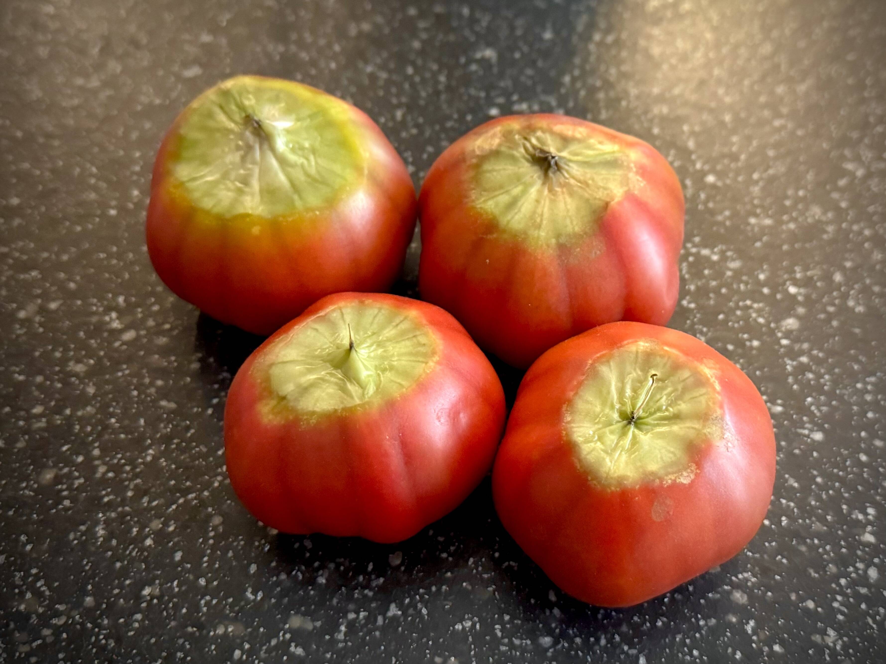 はるゆー様専用 訳ありトマト 他 はるゆー様専用 訳あり