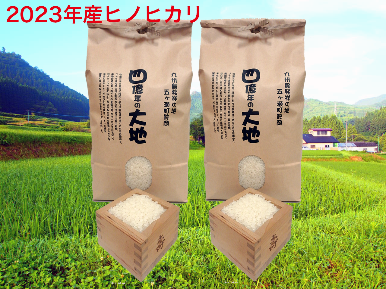 楽天市場】ヒノヒカリ 新米の通販