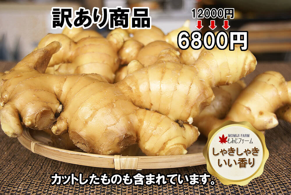 新生姜10kg土生姜 - 野菜