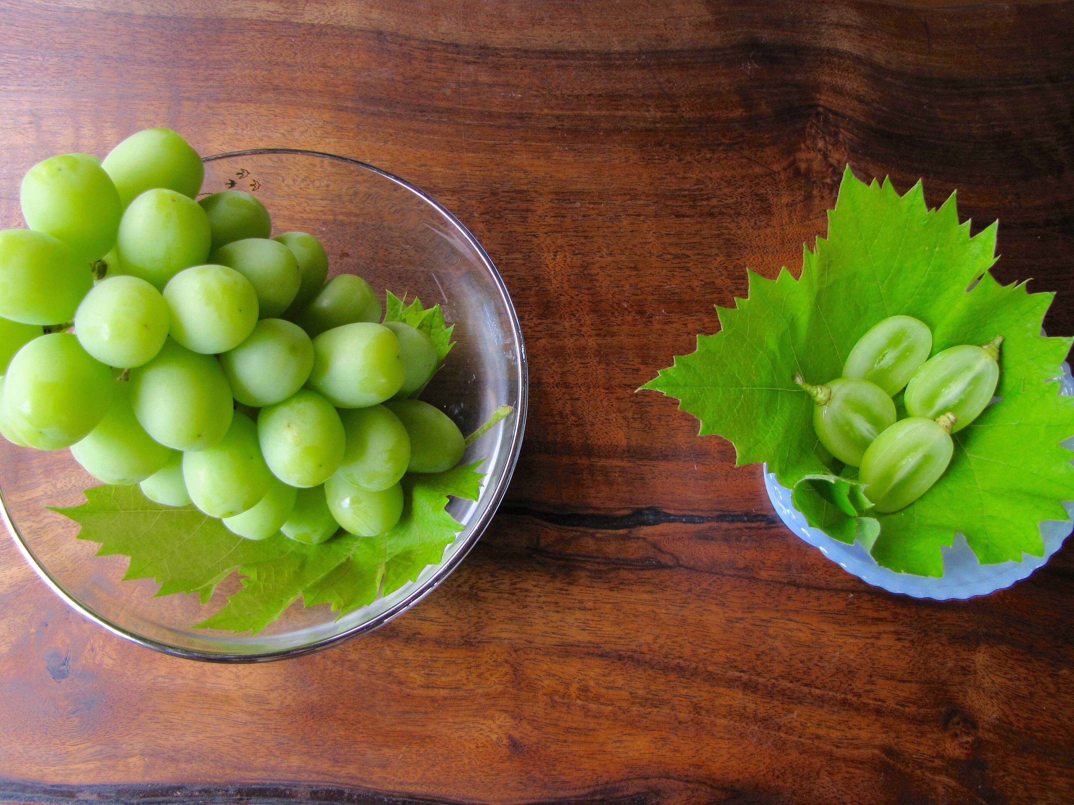予約殺到中】半世紀の結晶『樹熟シャインマスカット』｜食べチョク