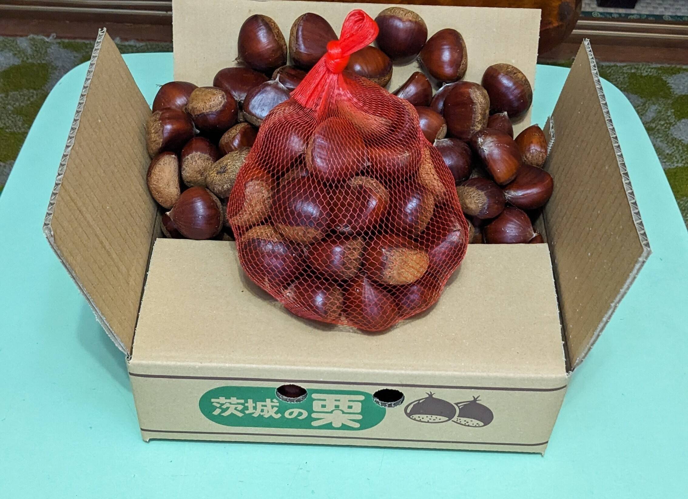 ブランド笠間の栗 800g（ミックスサイズMS）：茨城県産の品種おまかせ