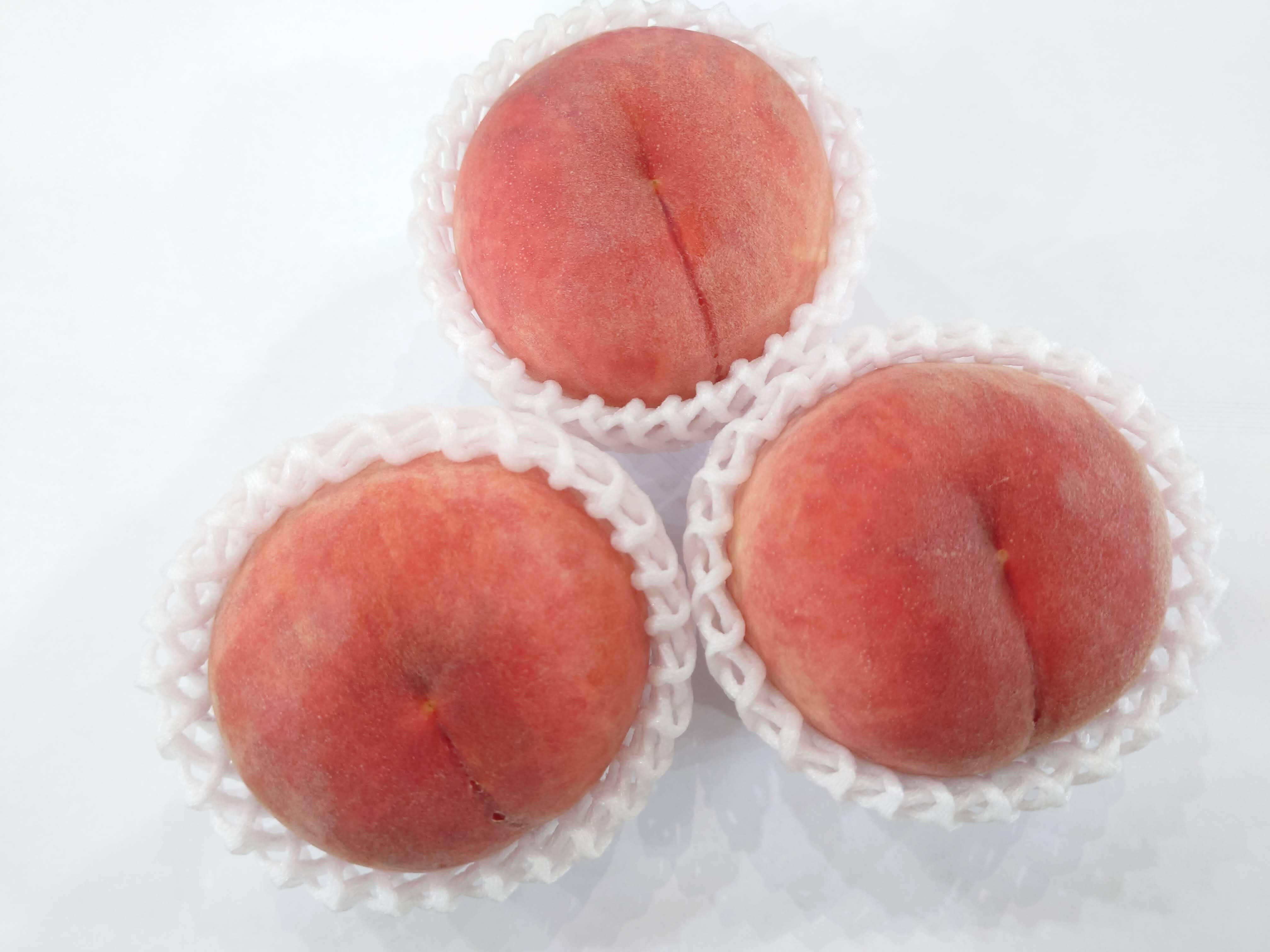 定番の晩生種「川中島白桃」 S〜M玉約3.2kg【化粧箱入】【クール