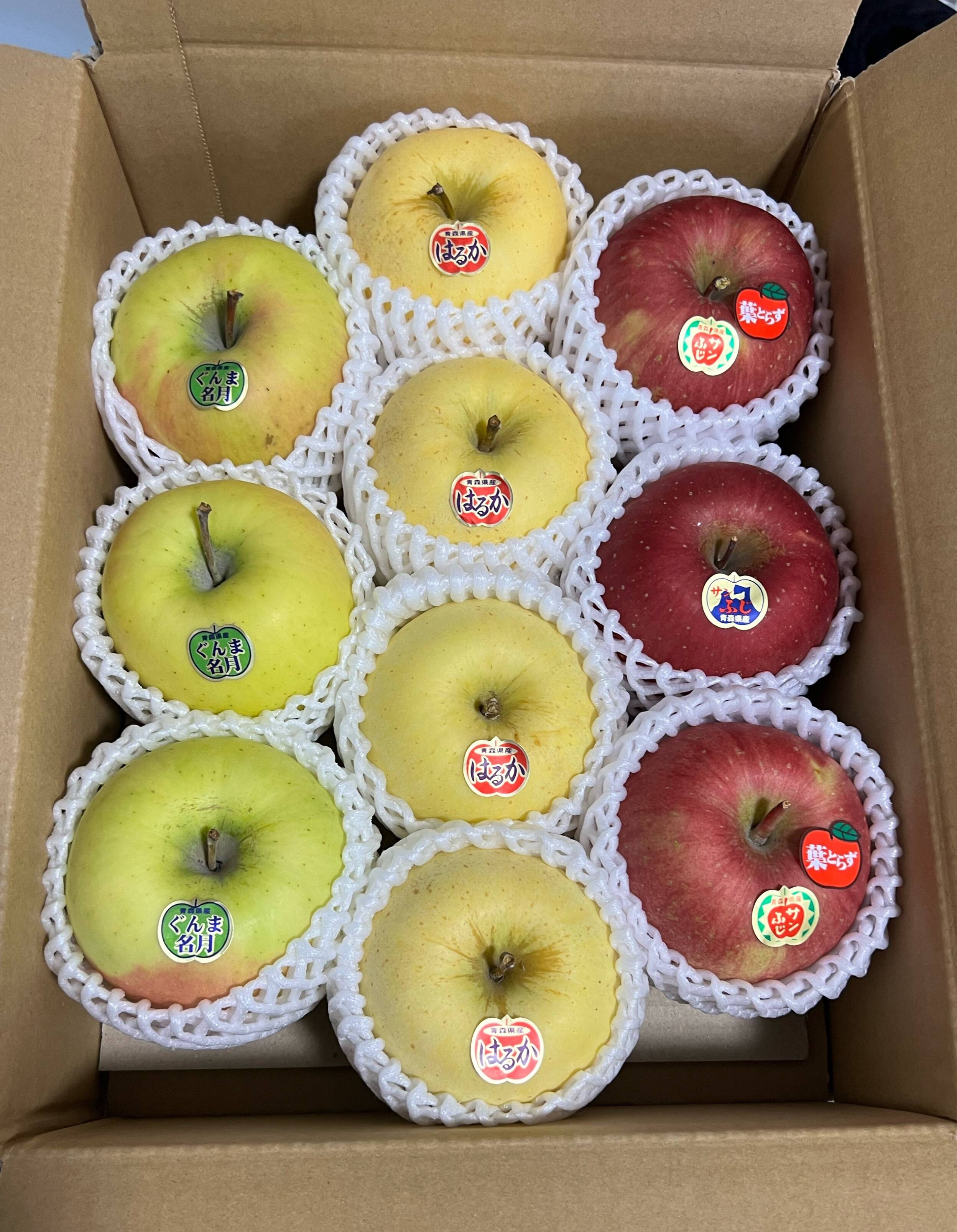 🍎🍏人気の3種🍎🍏定番ふじ・人気のぐんま・貴重なはるか 美味しい3種