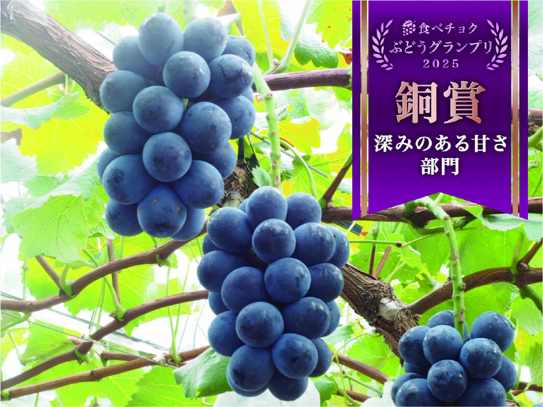 山葡萄　皮　約240本　幅6mm 長さ5cm以下 種なし・皮ごと食べられる！岡山県産『ナガノパープル』900g（2～3房