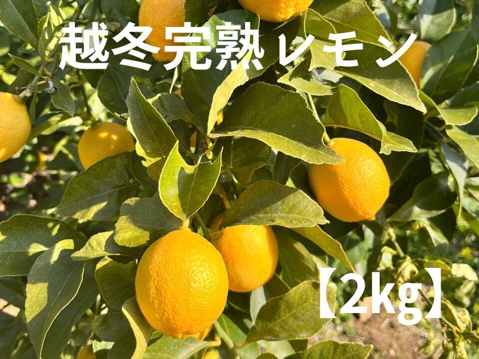 a485b95a3ebd099eb8006282f5aac1