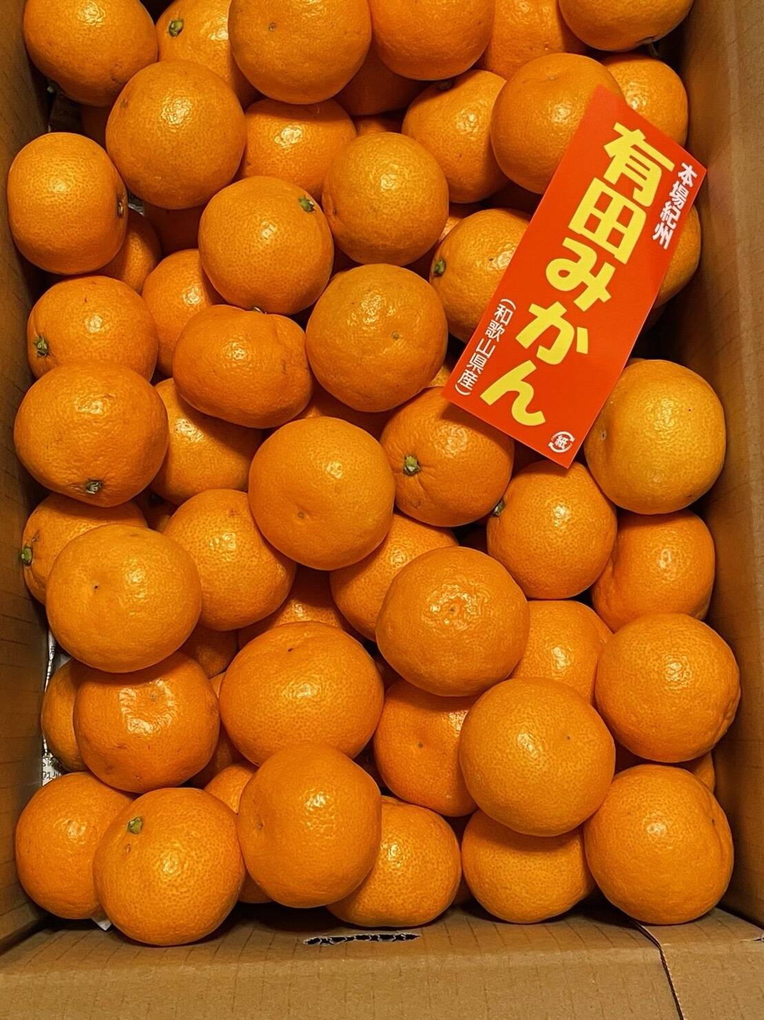 お得用　5kg 和歌山　有田みかん　傷あり