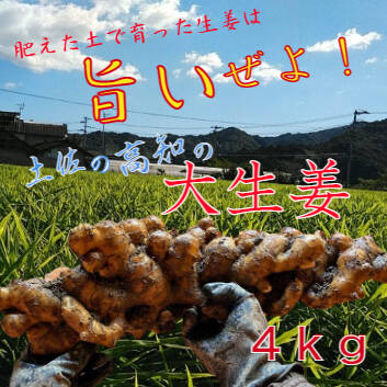 a4bd99204b75ec376c44958c51c2a7