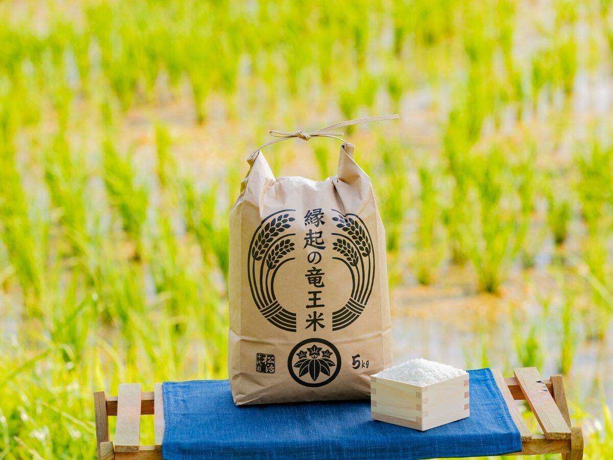 無洗米5kg】特別栽培米！1750年から続くお米農家が作ったきぬすめ 