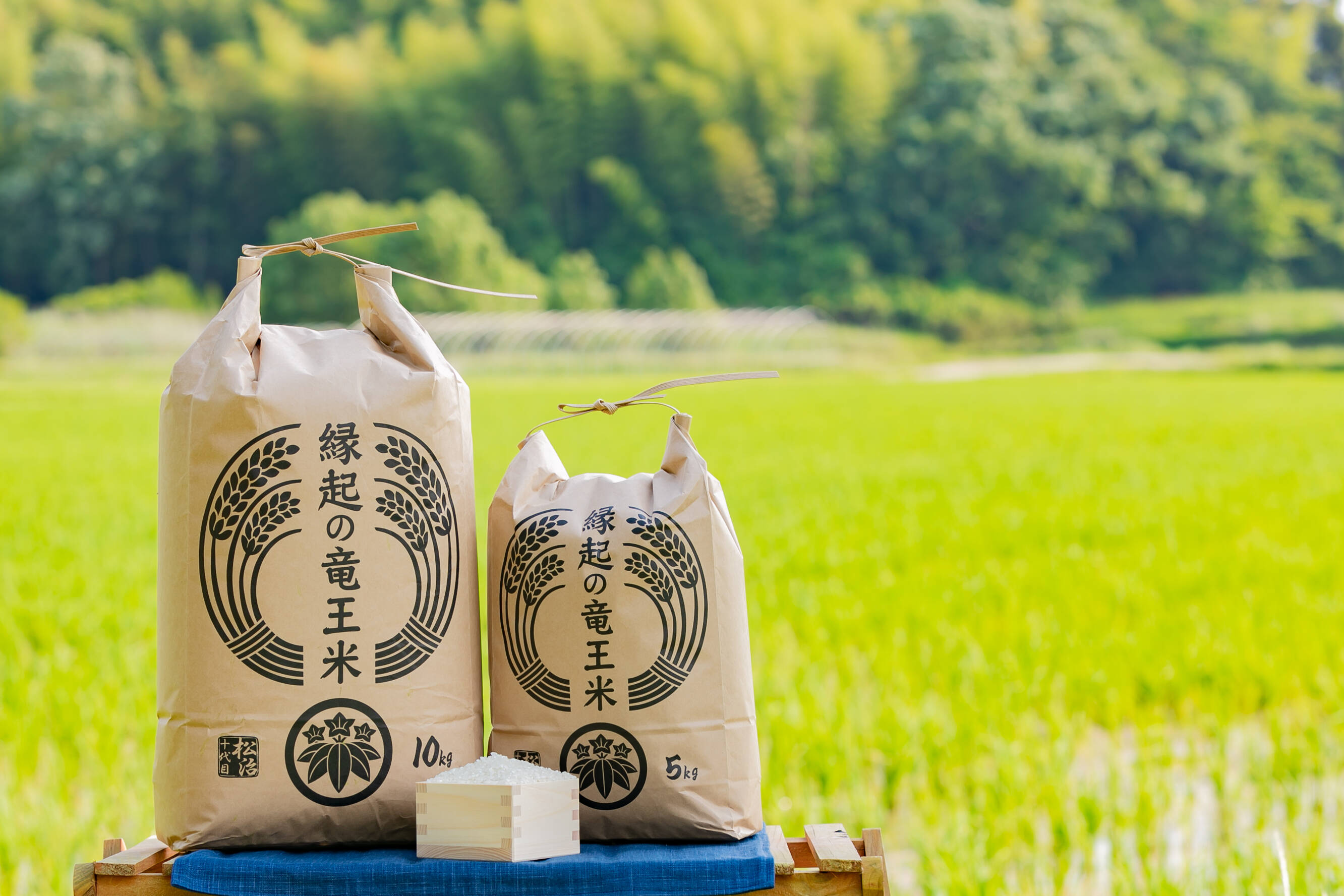 令和7年産【玄米10kg】「コシヒカリ」特別栽培米！1750年から続くお米
