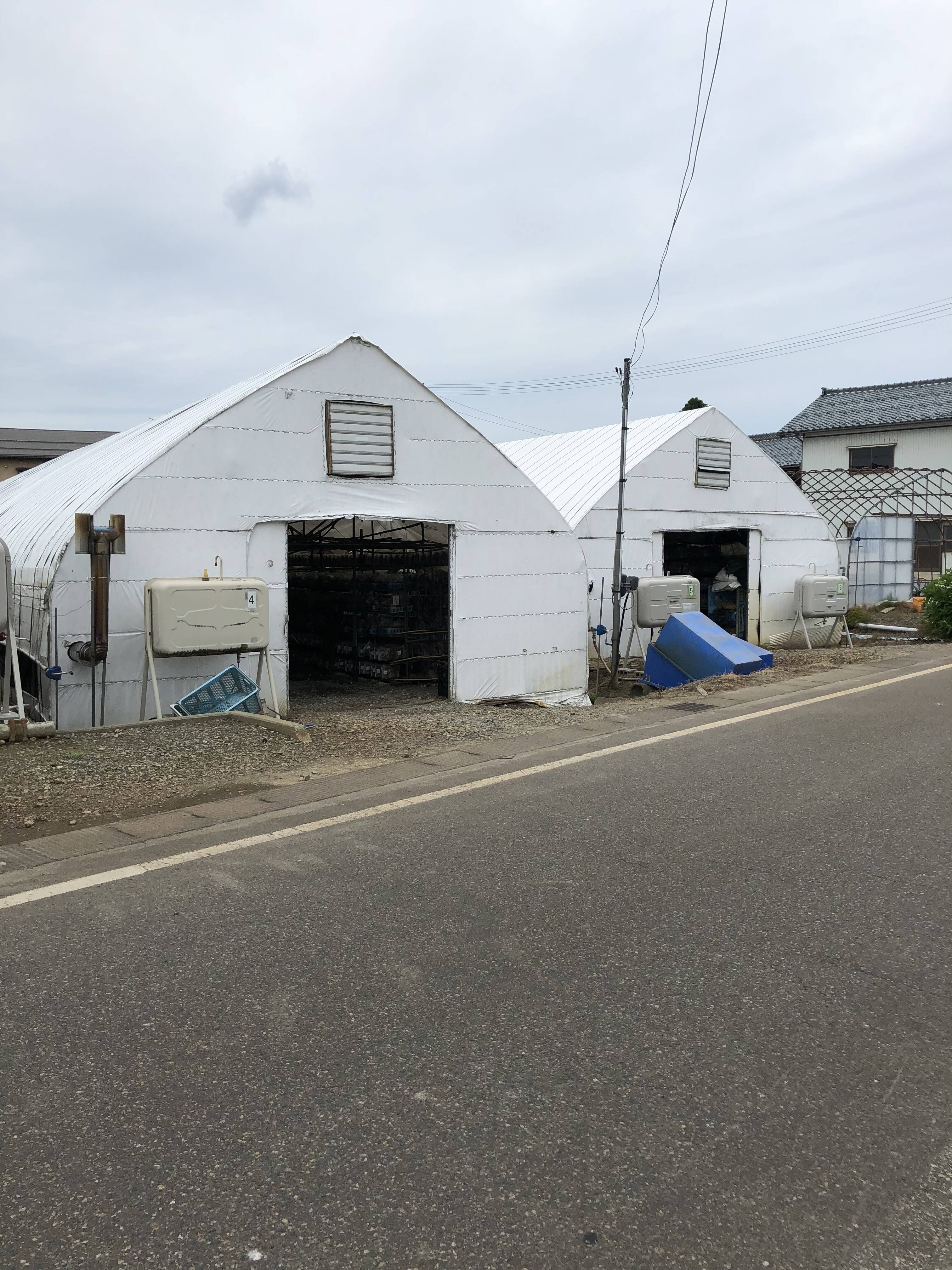 大地創造職人 反町敏彦へのレビュー・商品：新潟県｜食べチョク｜産地