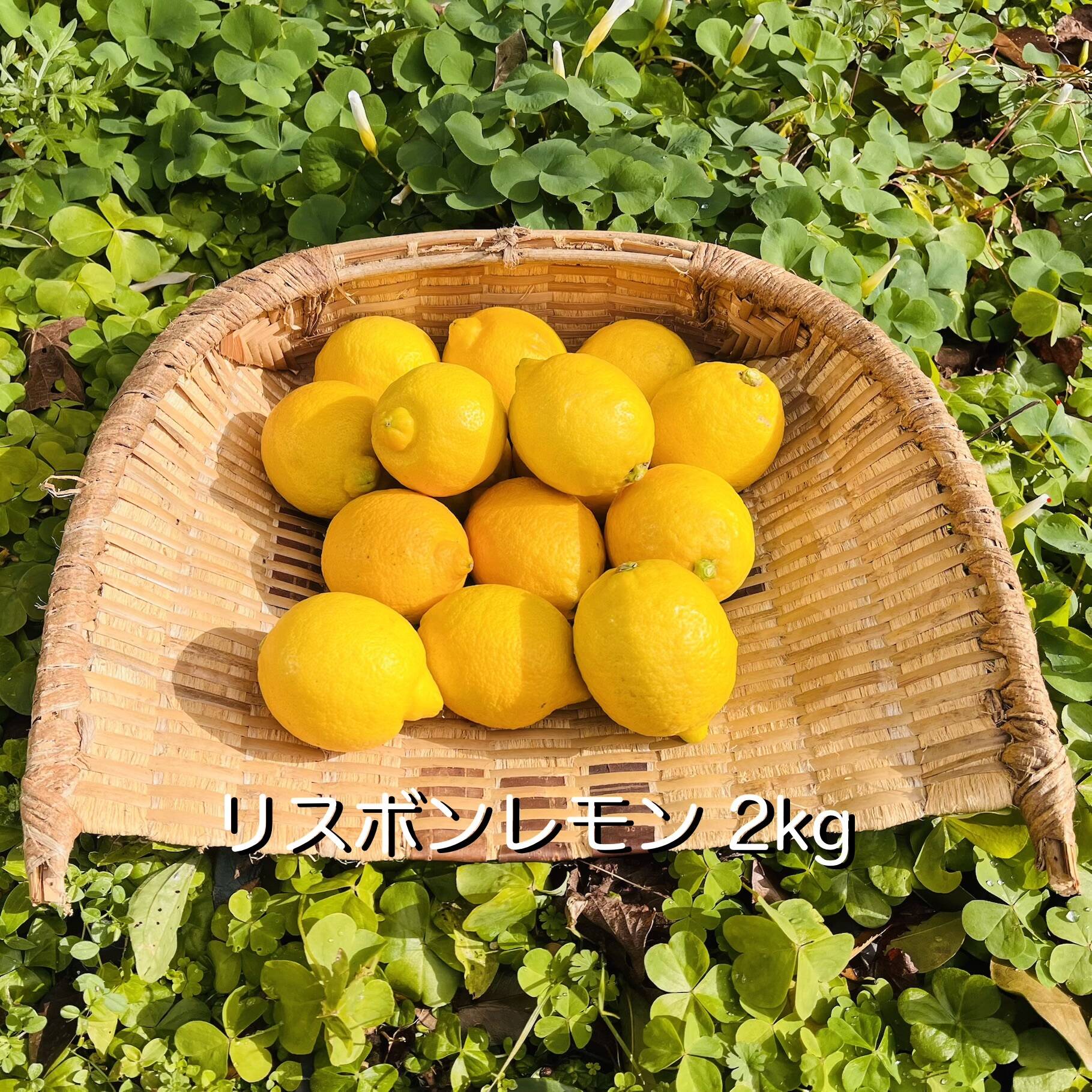 a55461bad9b83b78e0a4b0111b77f9