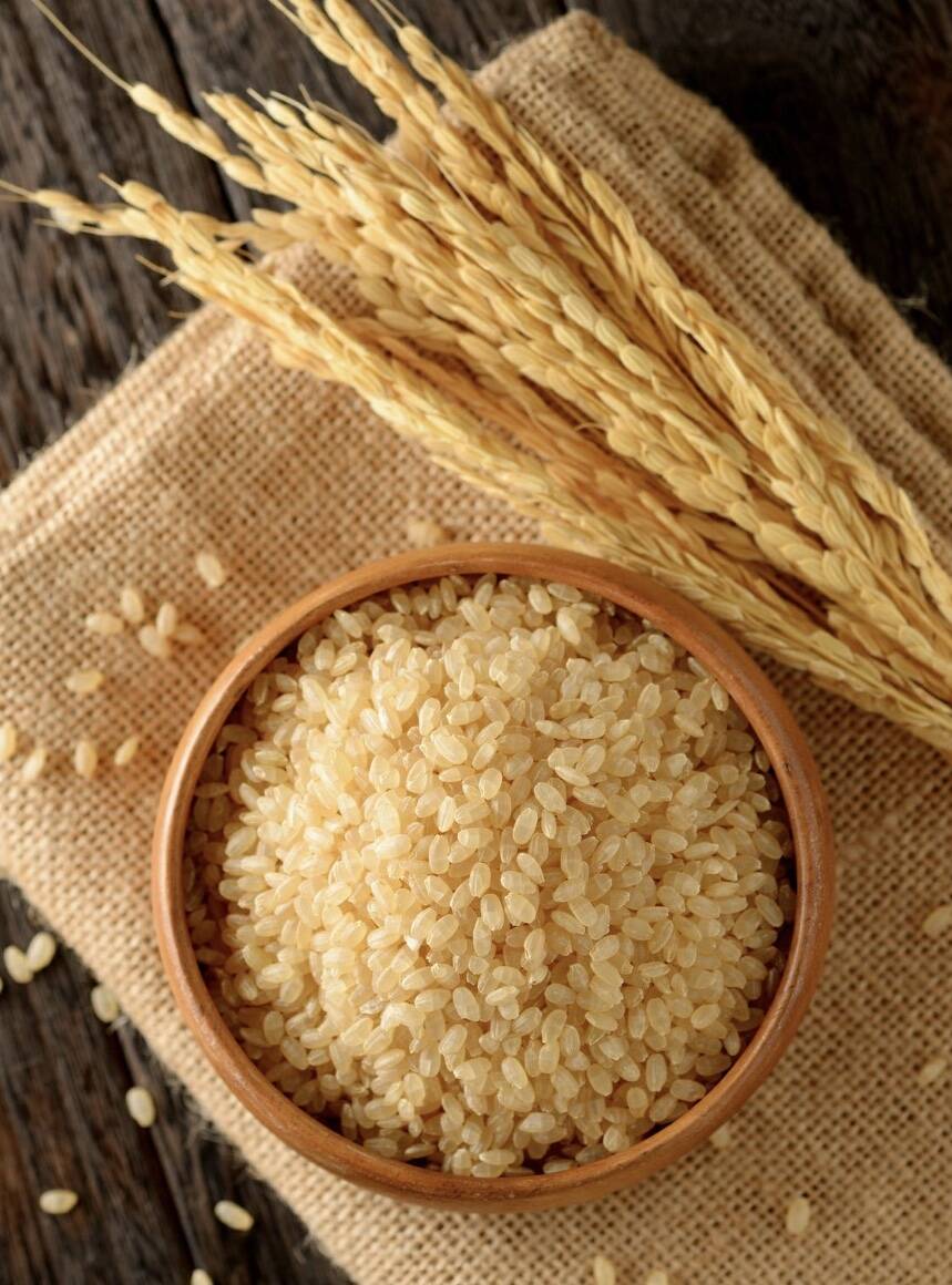 令和6年産 新米【カルシウム強化米】こしひかりカルゲン米 玄米