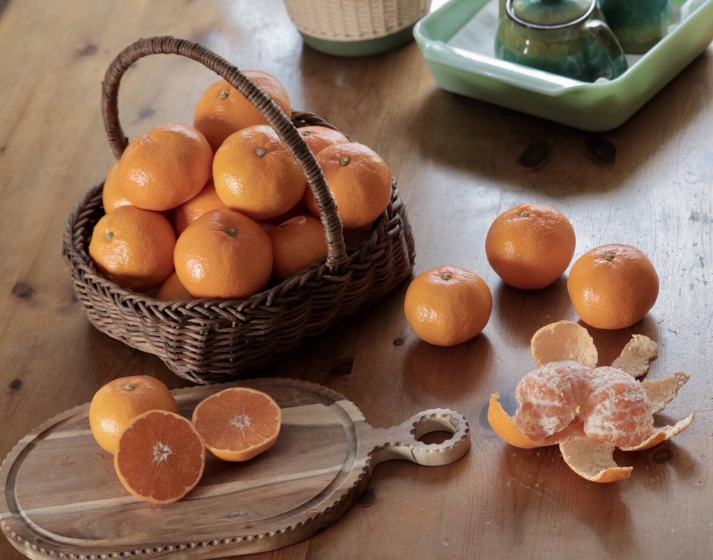 数量限定・家庭用】熊本県産早生みかん5kg 甘さギュッ！樹上完熟を農家