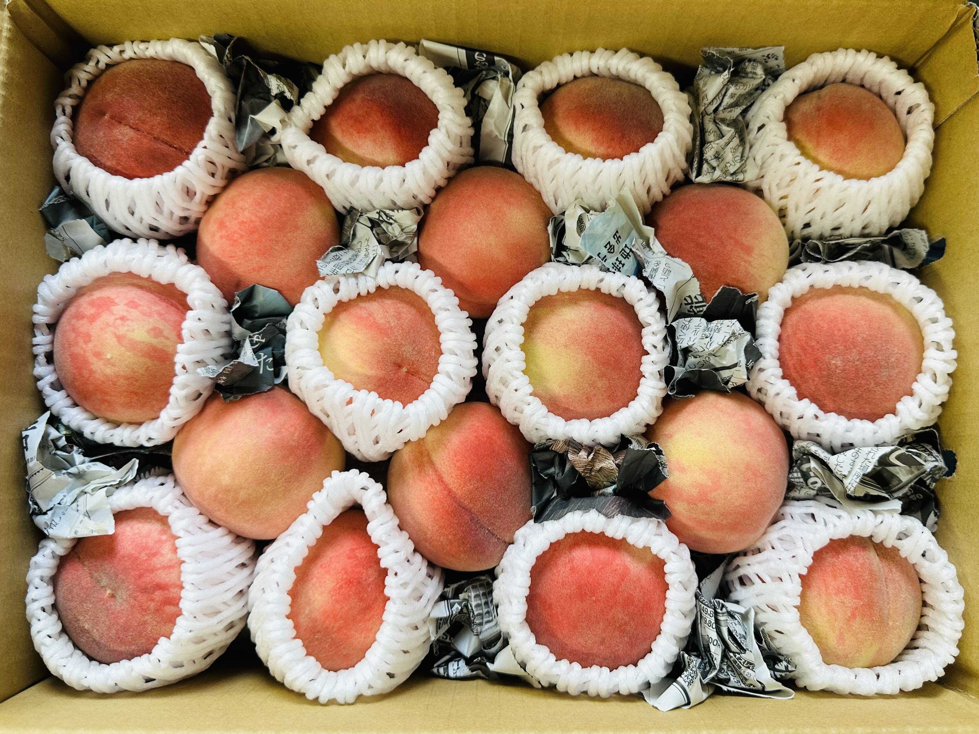 ご家庭用 桃 あかつき 小玉 約3kg 数量限定：長野県産のあかつき｜食べ
