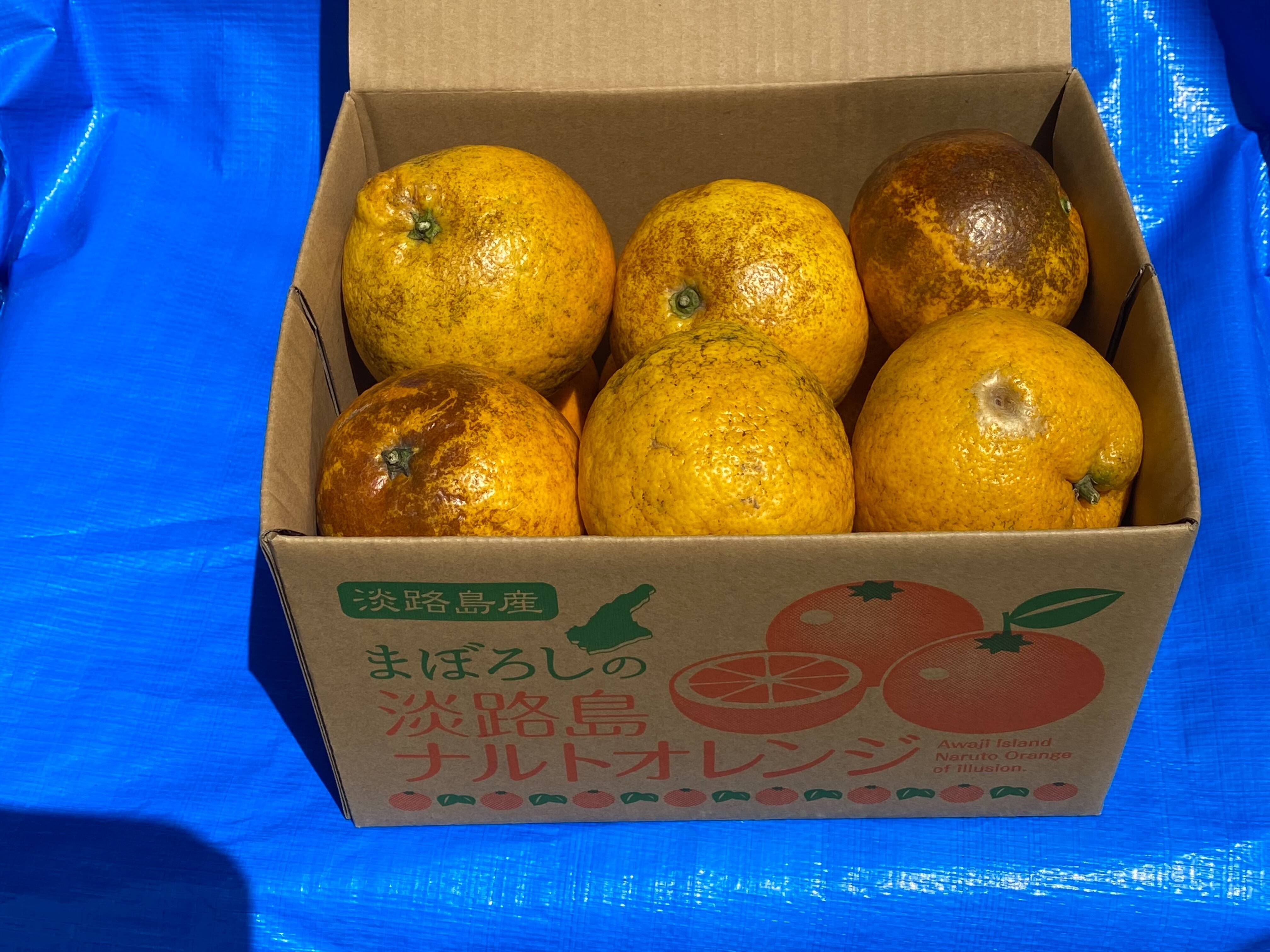 MACKIE 地域限定送料無料☆2022年製☆ジャンク扱い品 中古☆オレンジ