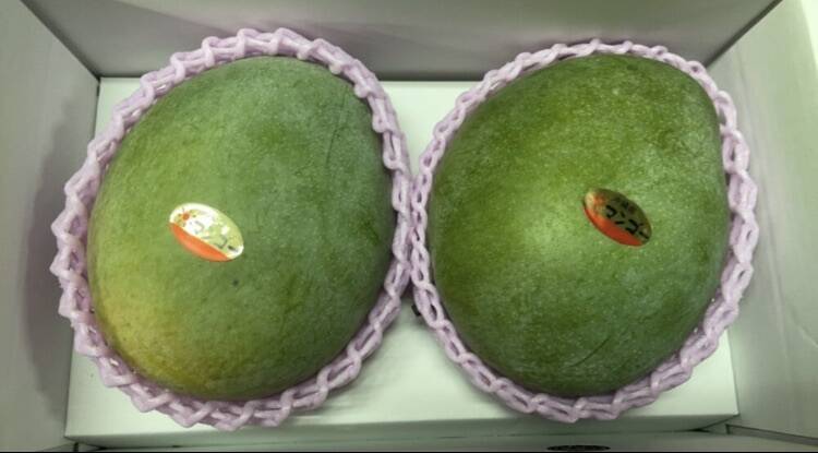 キーツマンゴー♬ 幻のキーツマンゴー (贈答用）1.5kg 2玉〜3玉：沖縄県産のキーツ｜食べ