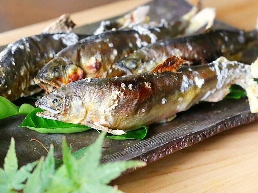 【美味しそうに焼くコツ！】鮎の塩焼き（魚焼きグリル）