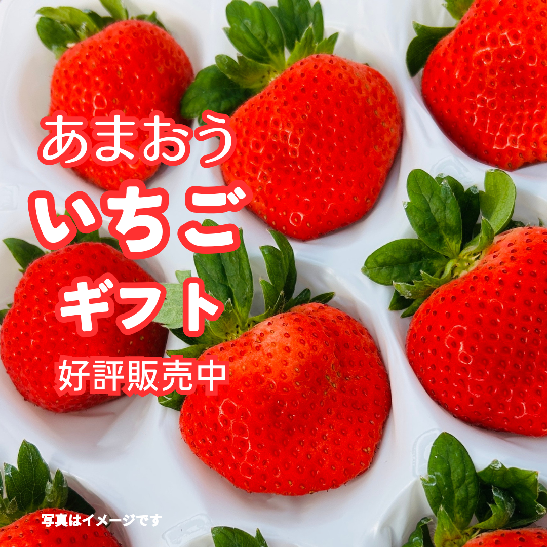 いちご(感謝) 楽天市場】【ふるさと納税】【数量限定/特別寄附額】福岡県産