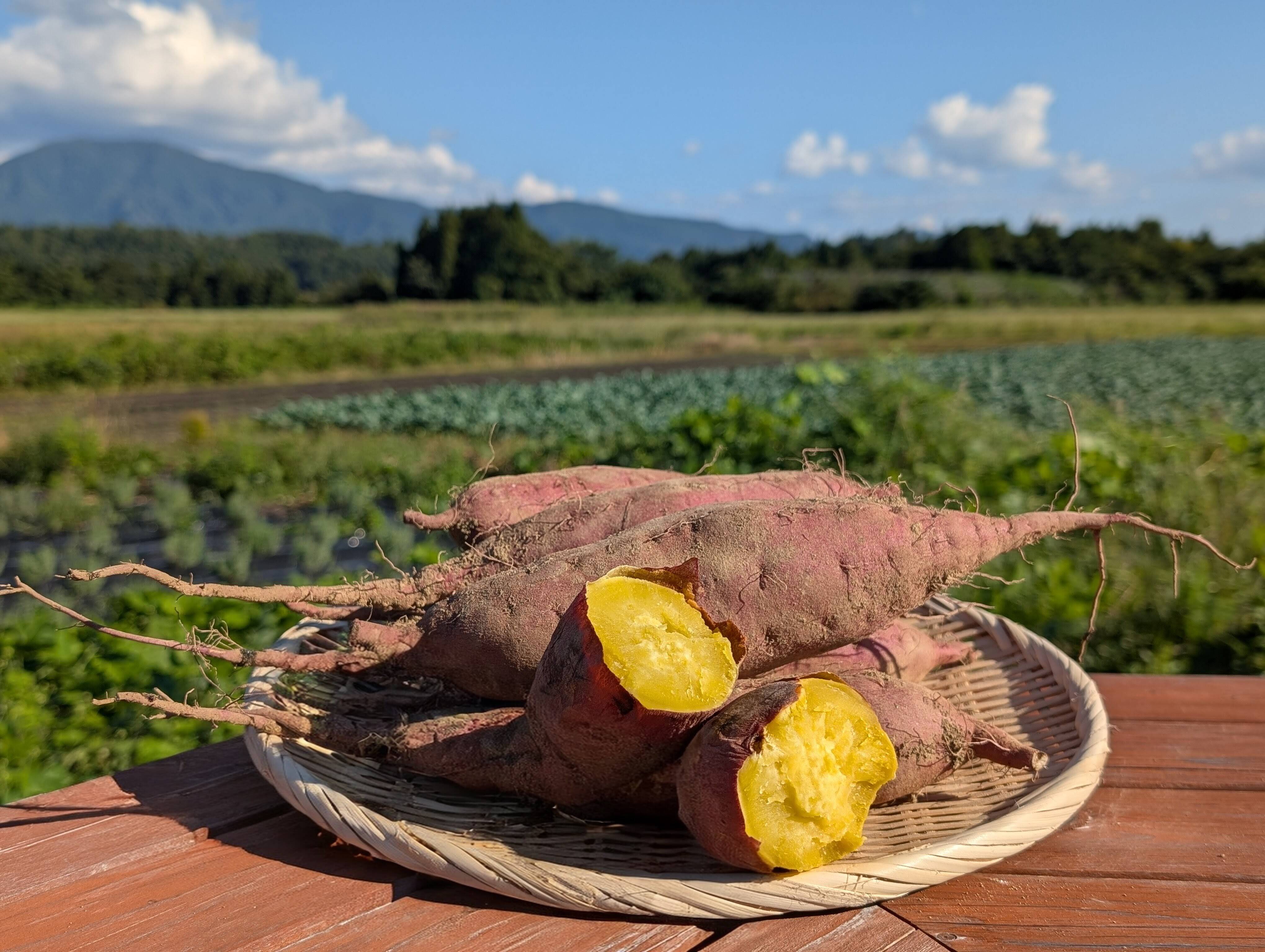 ほっくり、しっとり 栗かぐや ご家庭用 2kg：山形県産の栗かぐや｜食べ