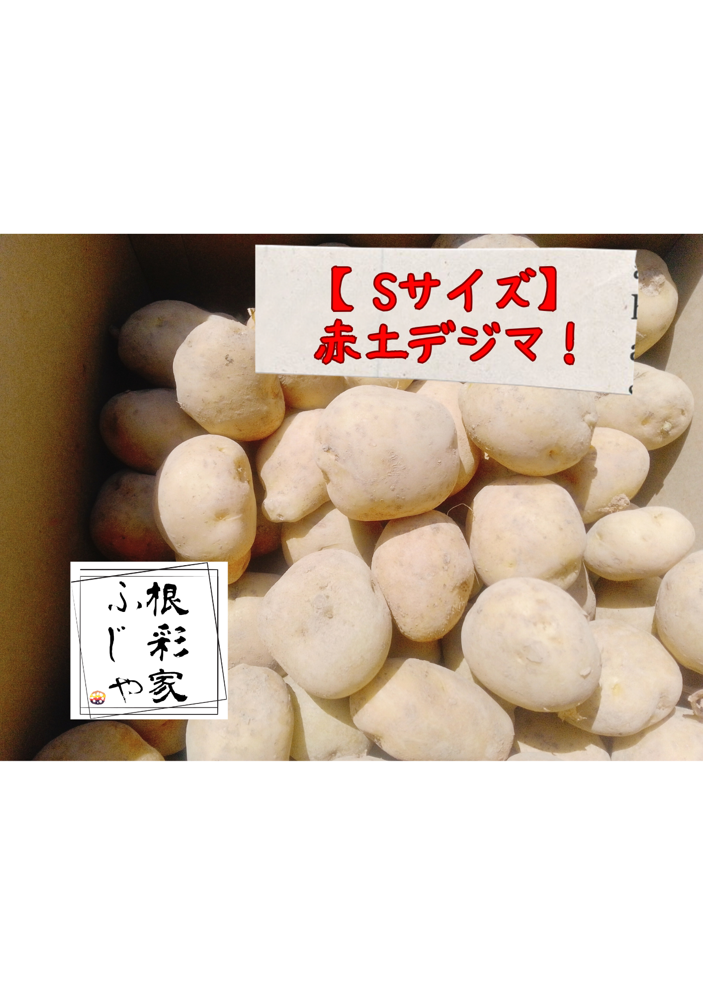 Gos　安納芋　コロコロサイズ　17キロ 種子島紫芋コロコロ ｜ 安納芋通販のむらさきまーと