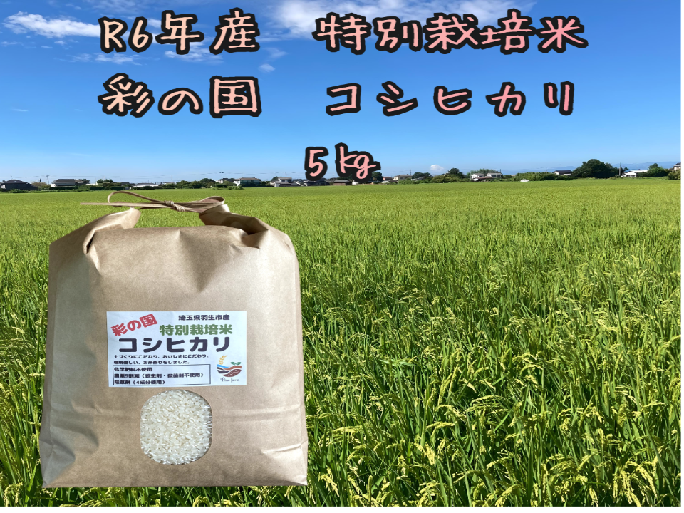 あやか　　 【玄米】R6年産　新潟県笹神産 コシヒカリ 特別栽培米 あやか様専用 【玄米】R6年産 新潟県笹神産 コシヒカリ 特別栽培米