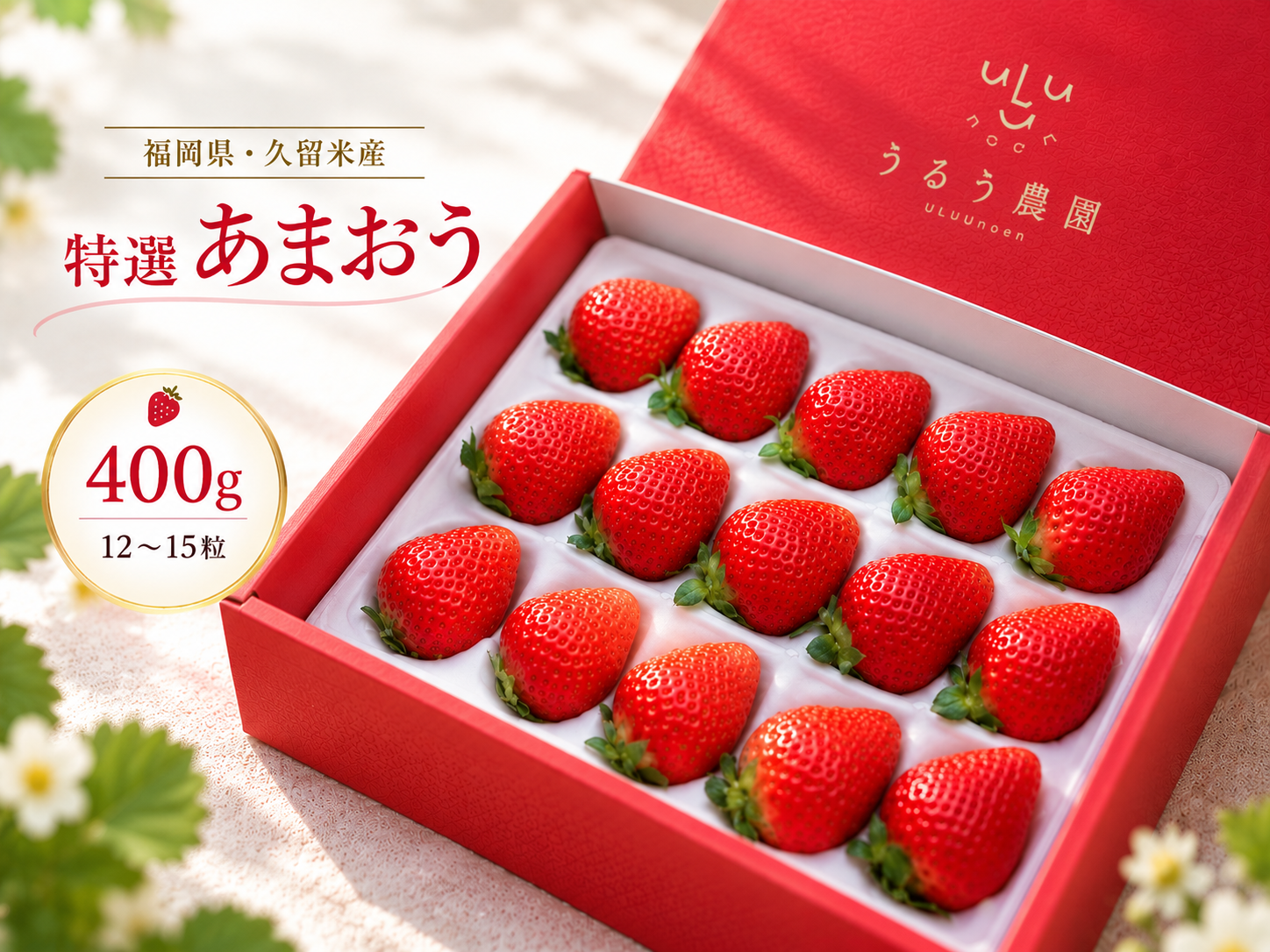 予約販売 2026年11月下旬～順次発送】特選あまおう 400g ギフト