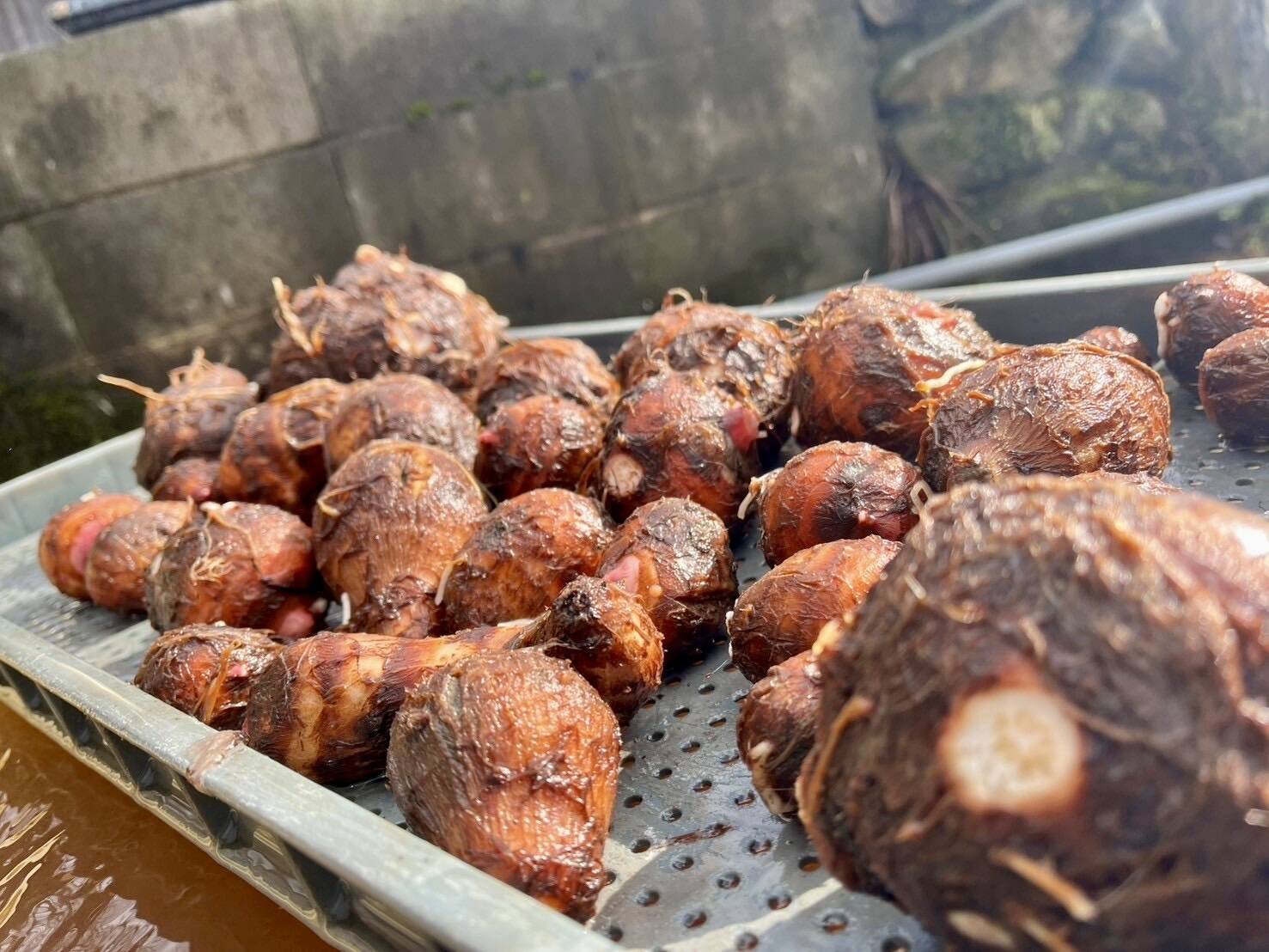 a76af1a2033d30fbce0ab4242a54d9