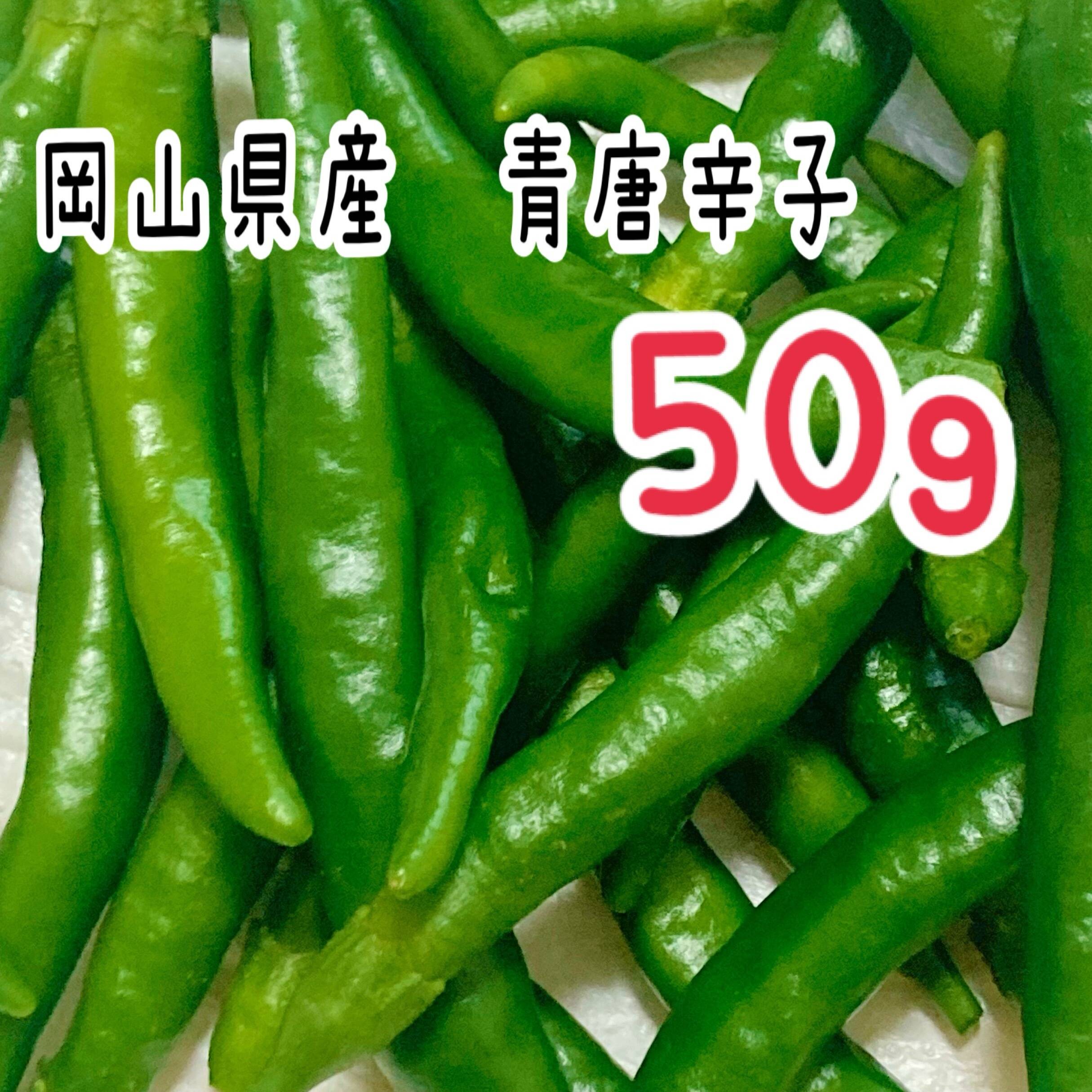 新鮮 採れたて 青唐辛子 辛味野菜辣妹子激辛。長野县長4kg以上 新鮮 採れたて 青唐辛子 辛味野菜辣妹子激辛。長野县長4kg以上 食品