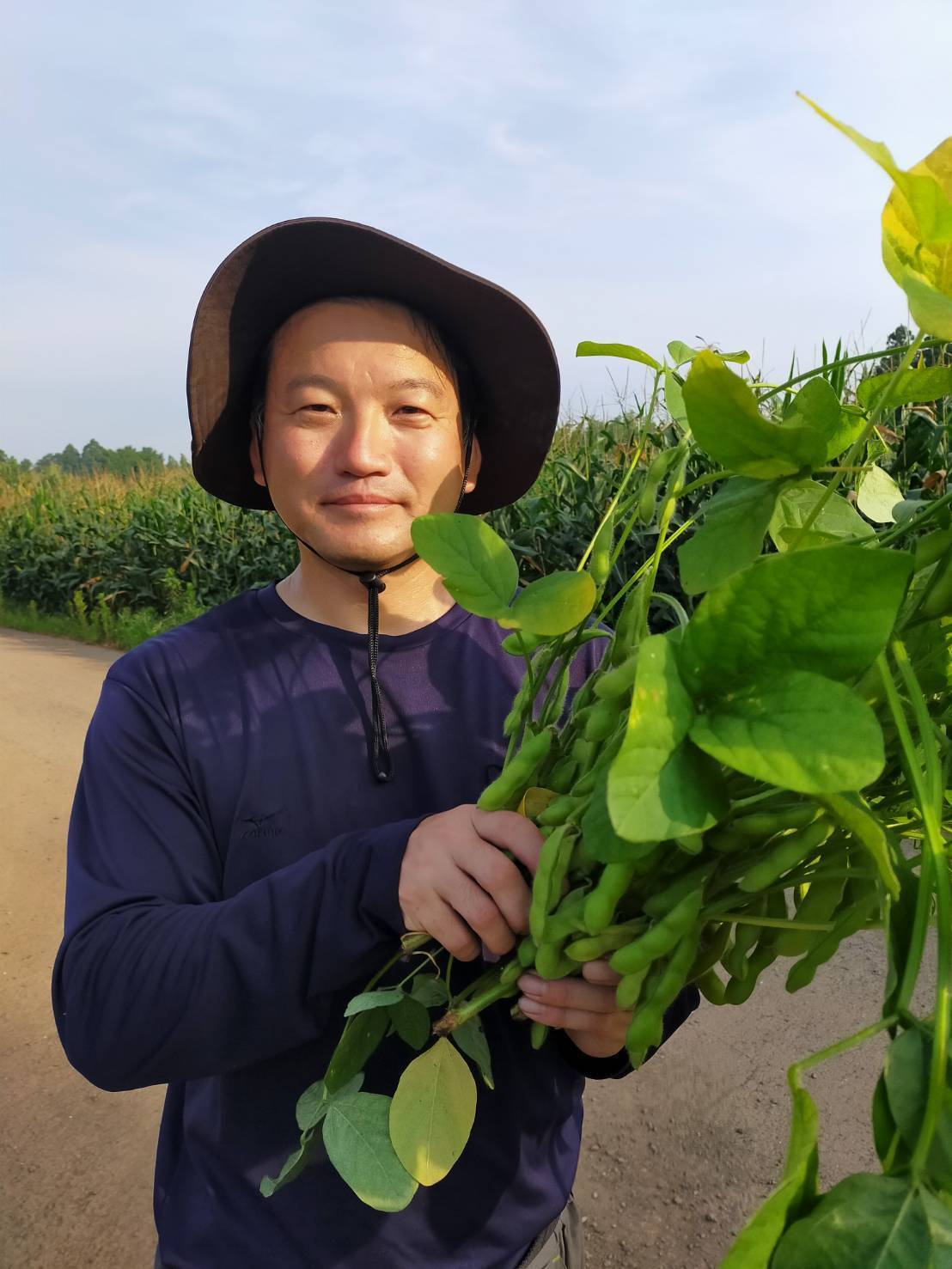 有機JAS】朝採り枝豆 1.5kg：茨城県産の神風香｜食べチョク｜産地