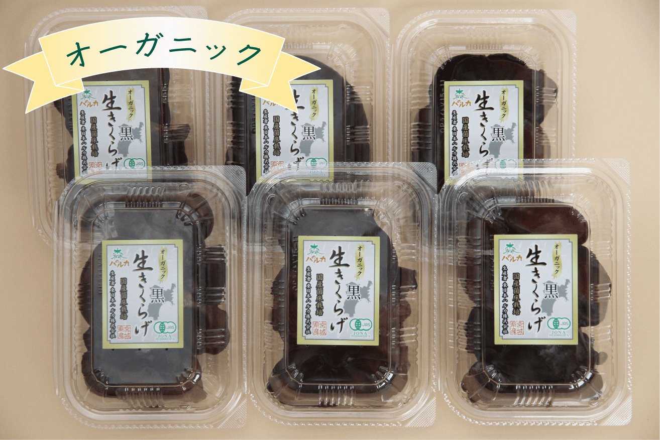 オーガニック】生きくらげ6個セットA（黒100ｇ×6パック）：宮城県産の