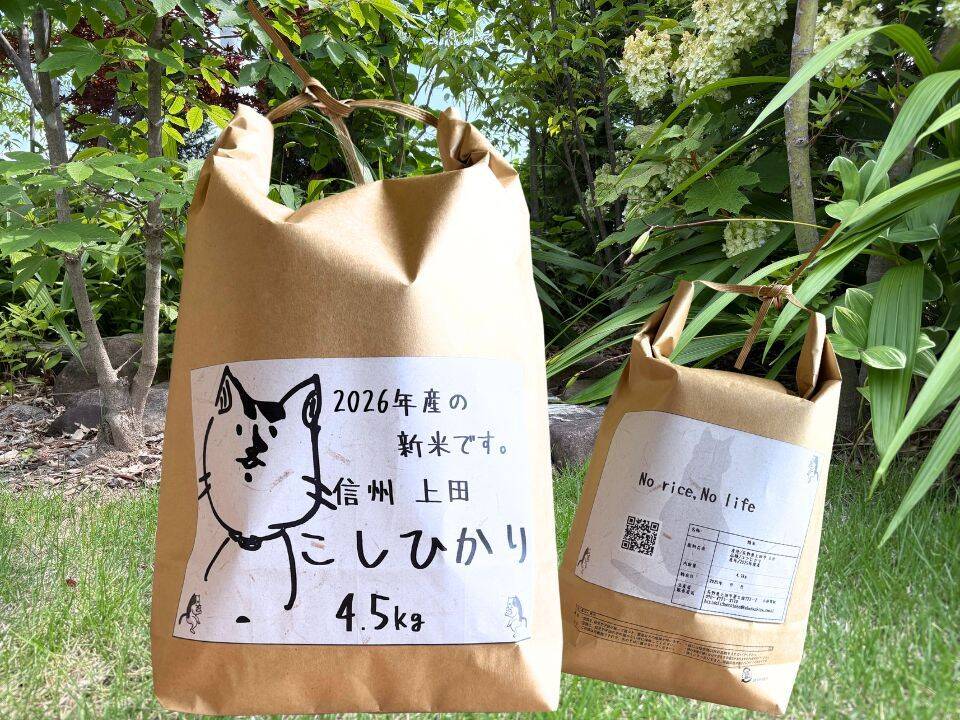 令和8年産 新米 長野県上田産コシヒカリ 4.5kg(白米) 農家直送