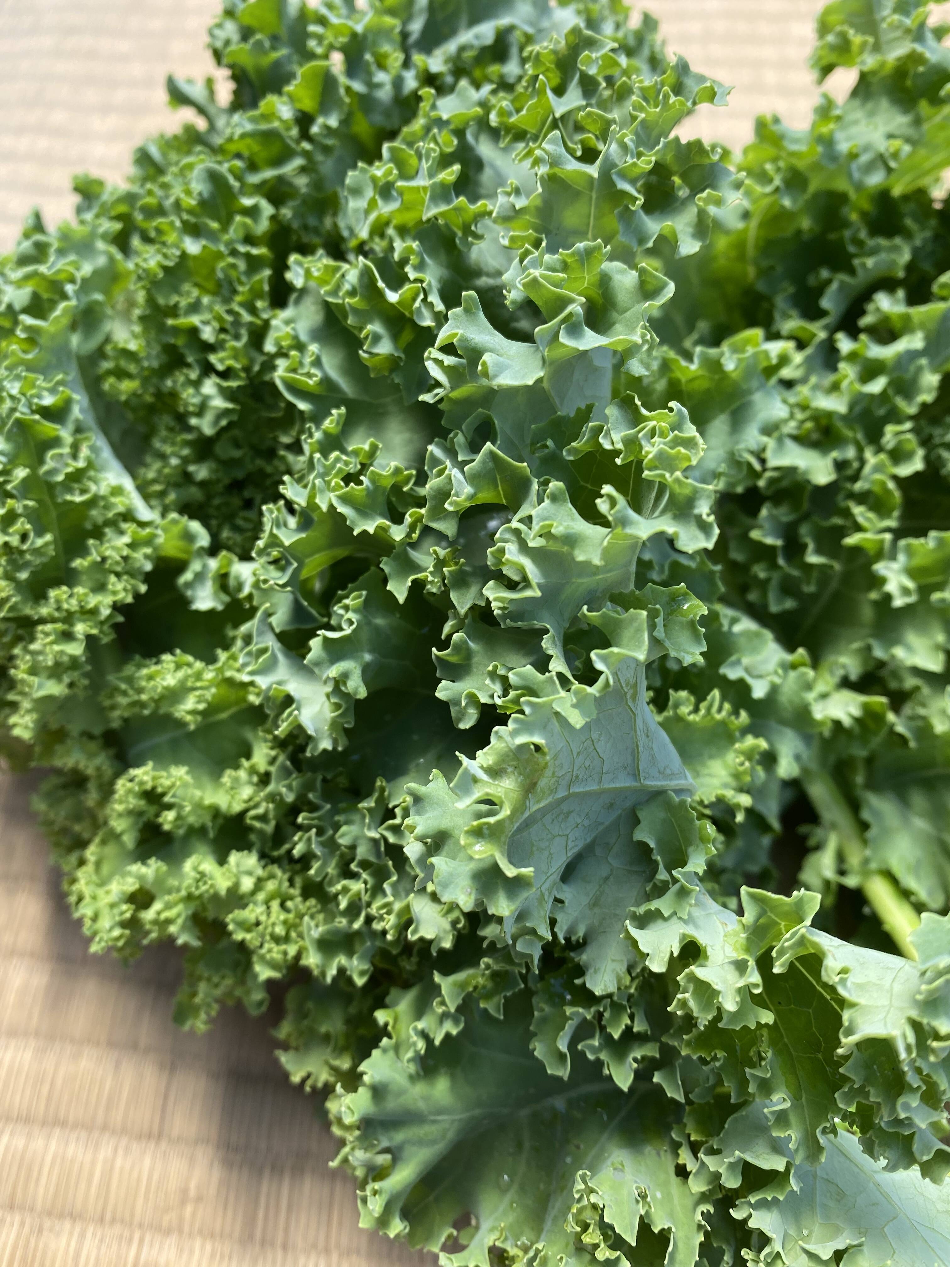 農家直送☆採れたて新鮮☆ケール1キロ - 野菜