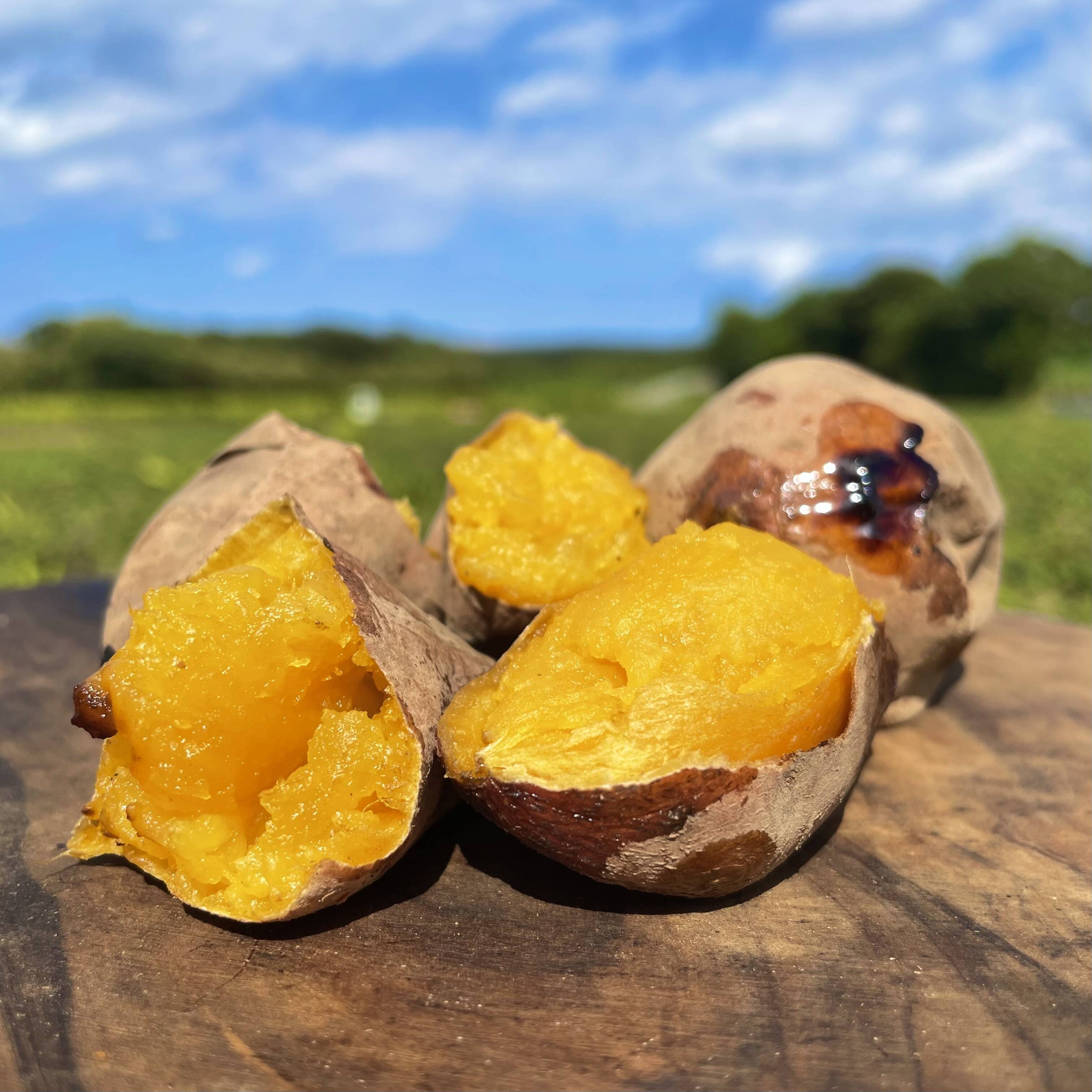 a8a29dc8c4cdbf32bdcd0caa15df6c