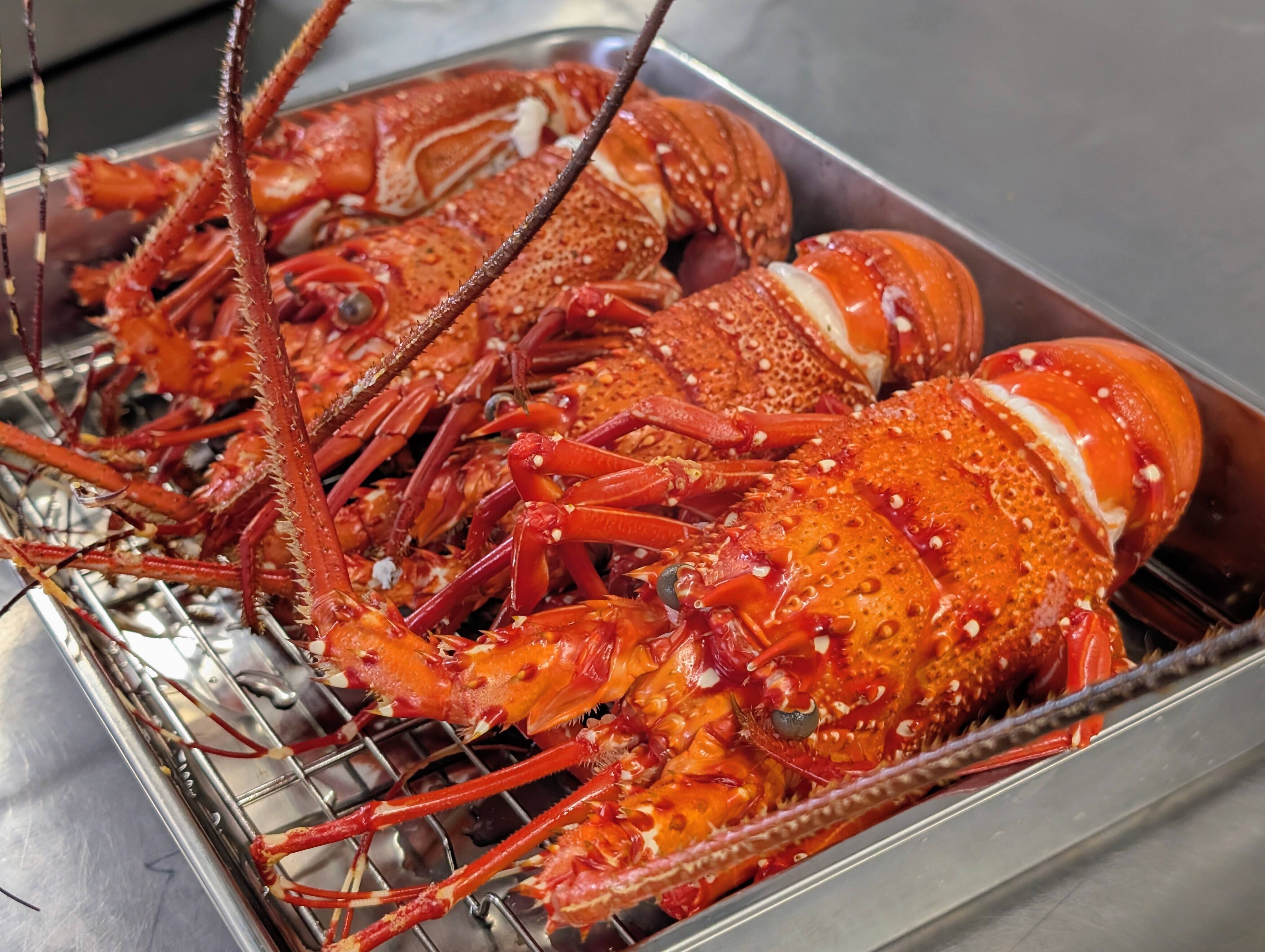 漁師価格！『イセエビ』ボイル済みハーフカット（Sサイズ1匹分：250g