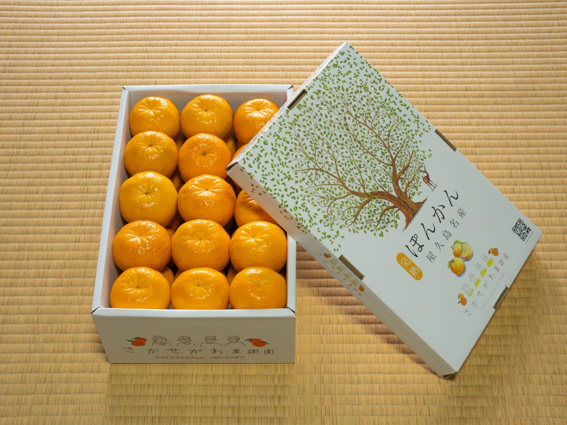 かんかん様【専用】 和歌山県産 下津クラウンみかん | 商品詳細 | 高島屋オンラインストア